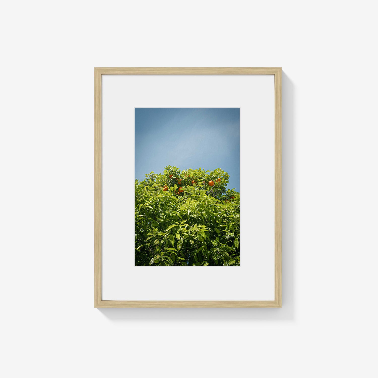 CITRUS SKY