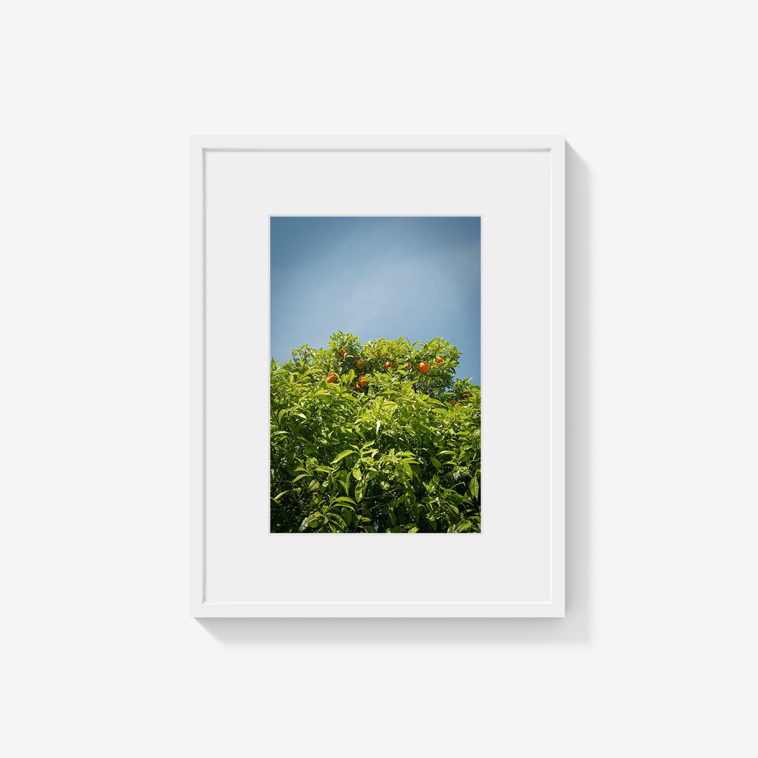 CITRUS SKY