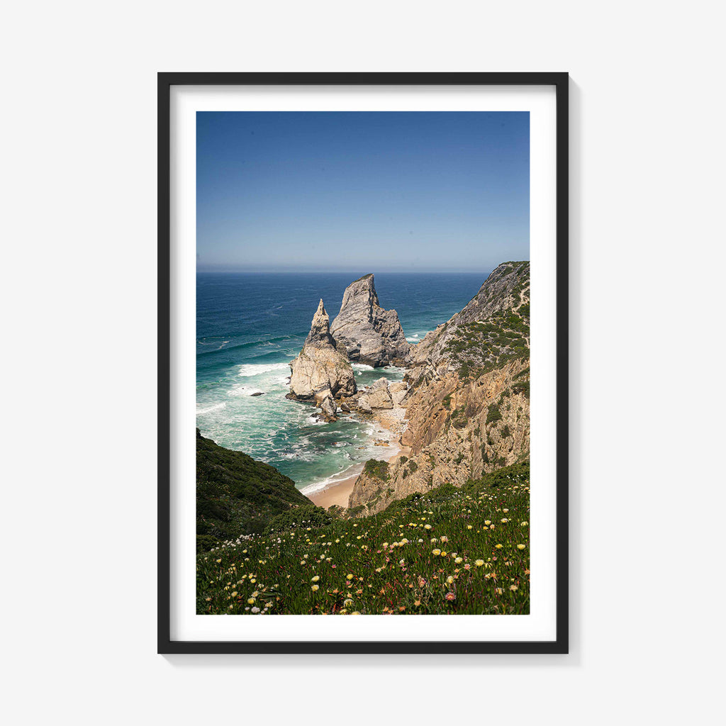 COASTAL PINNACLES