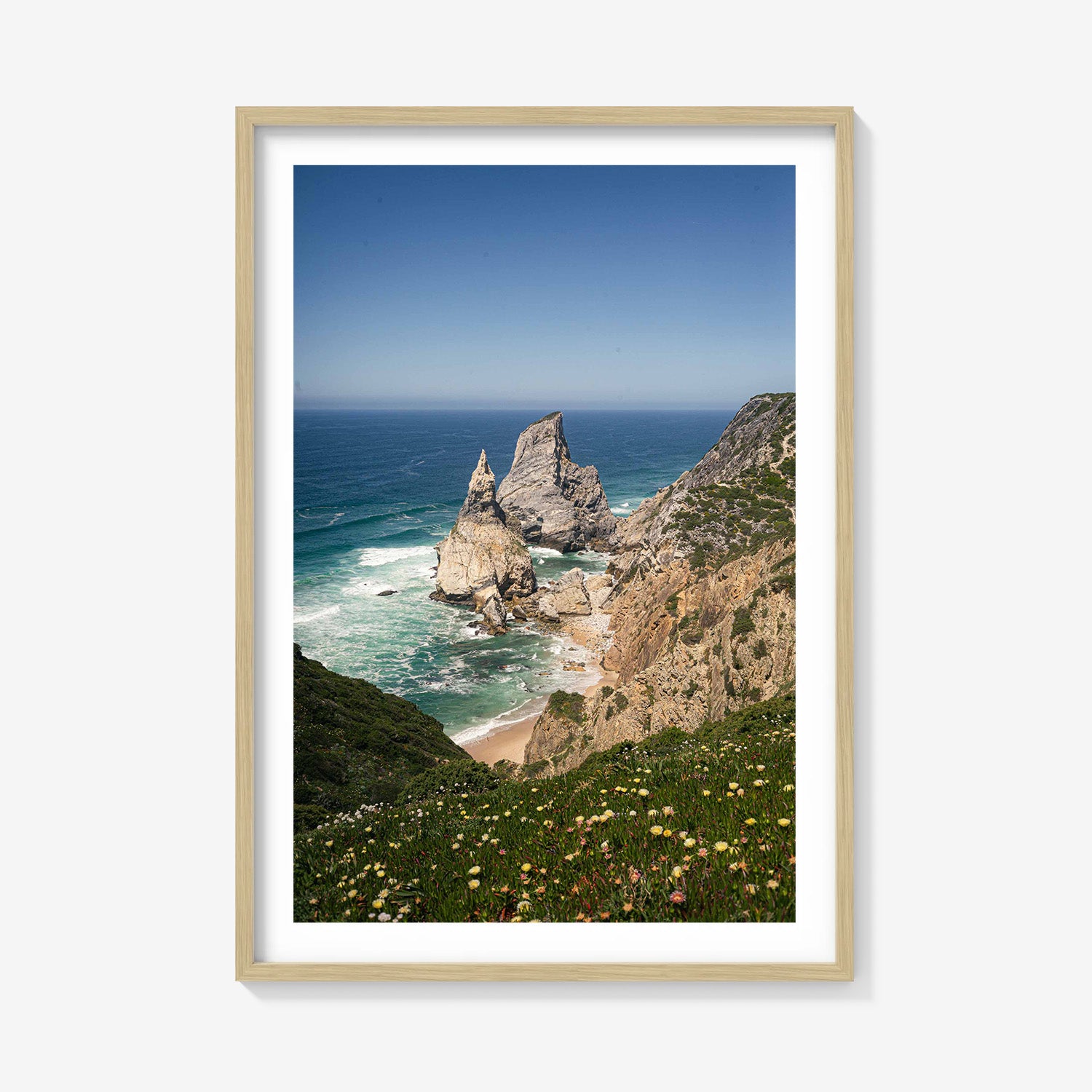 COASTAL PINNACLES