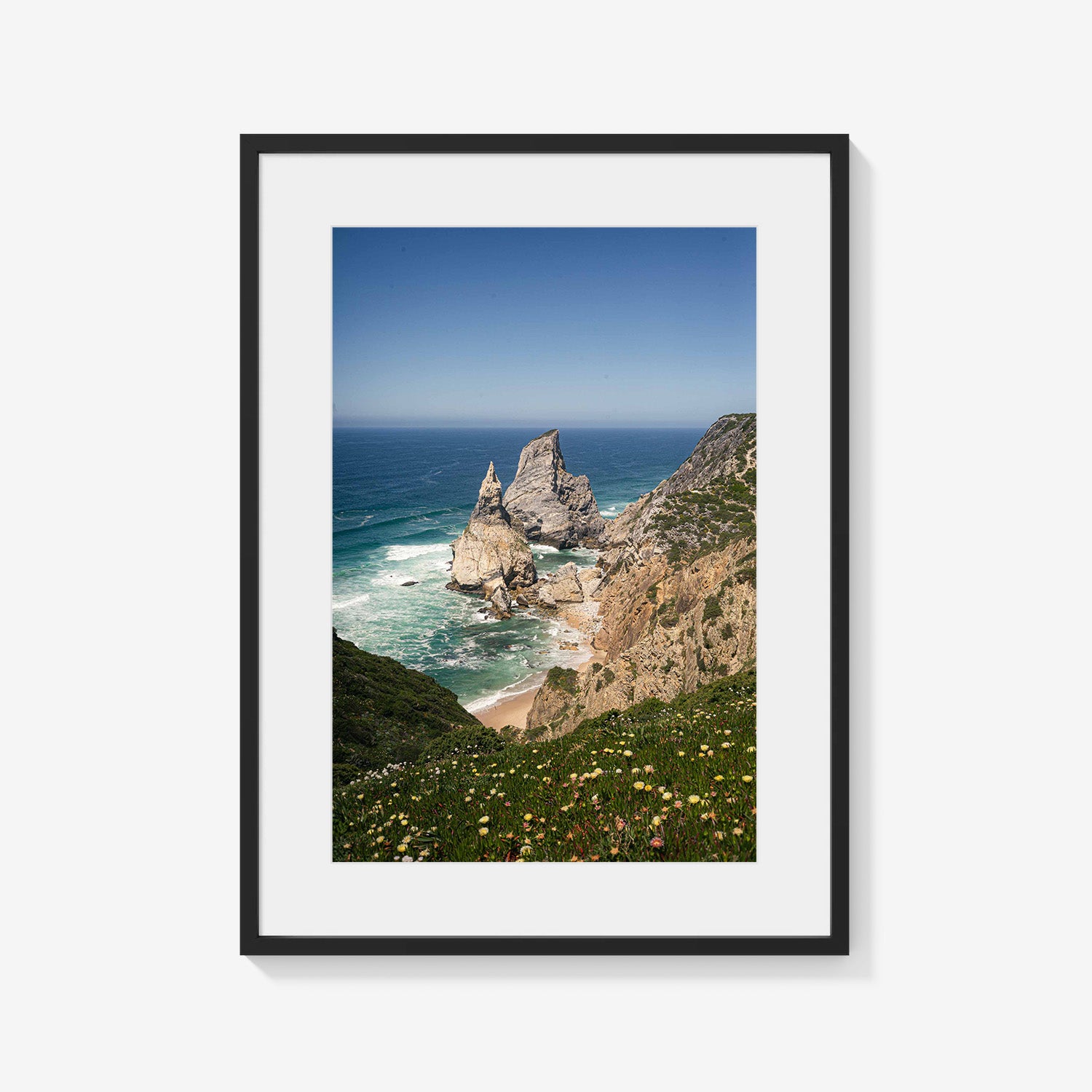 COASTAL PINNACLES
