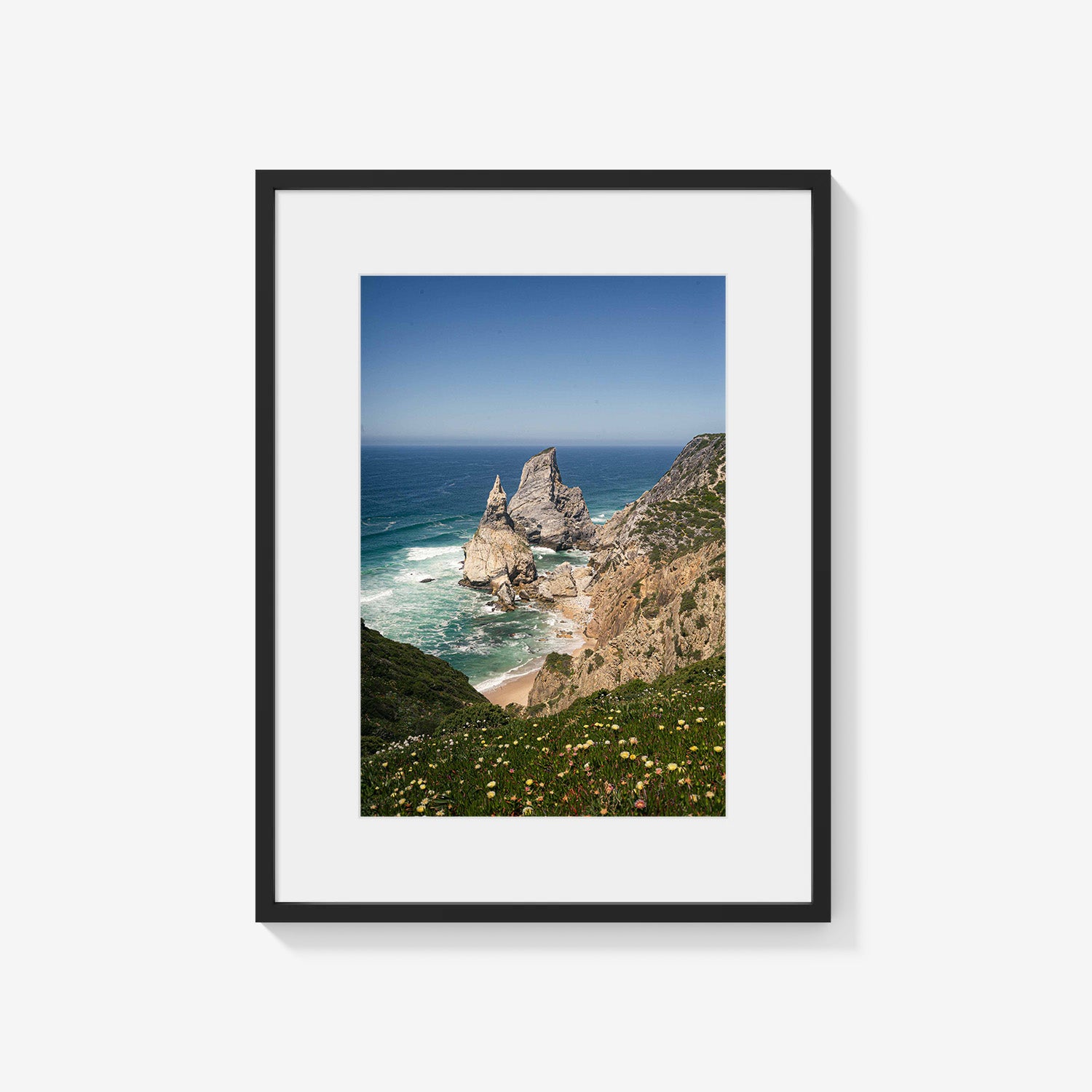 COASTAL PINNACLES