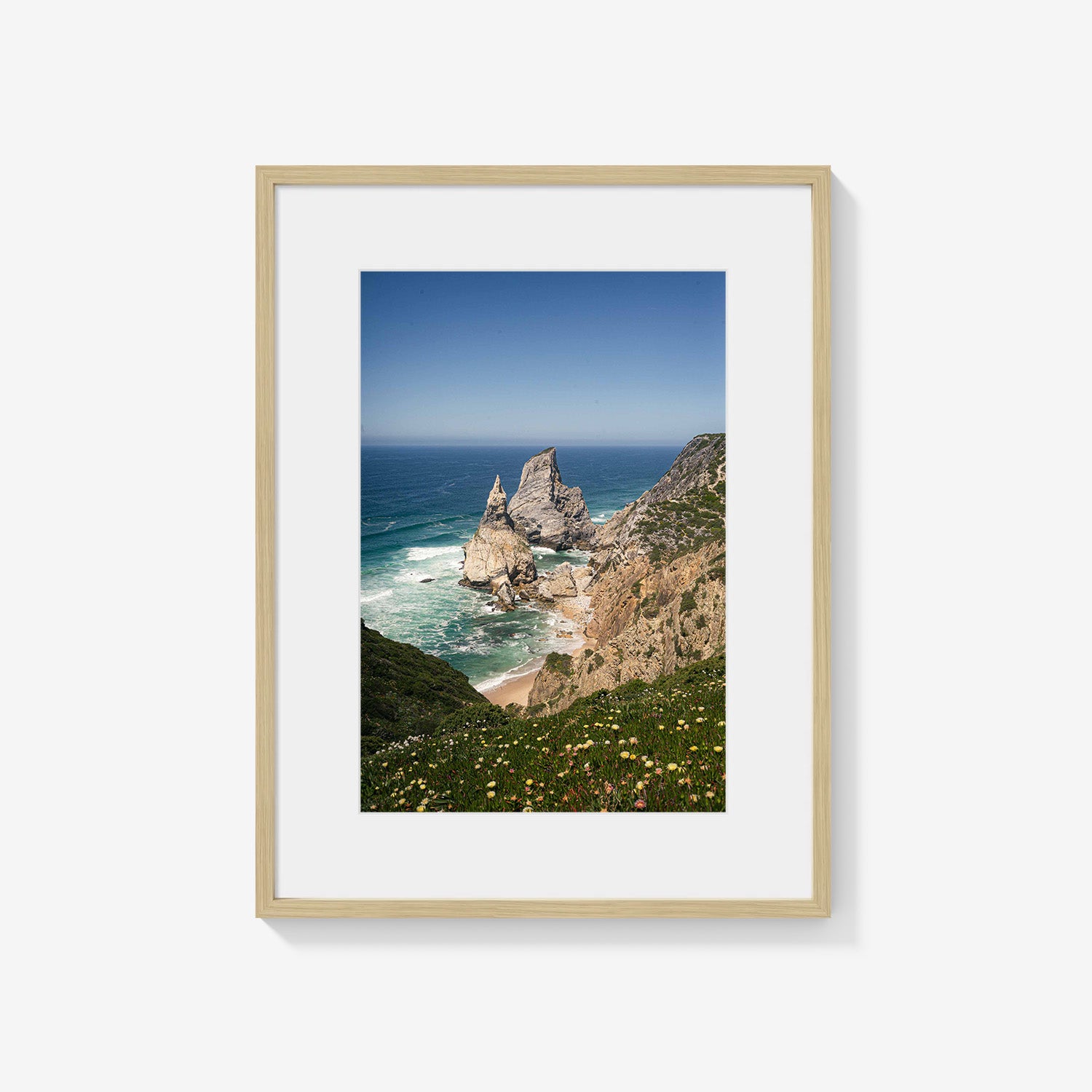 COASTAL PINNACLES