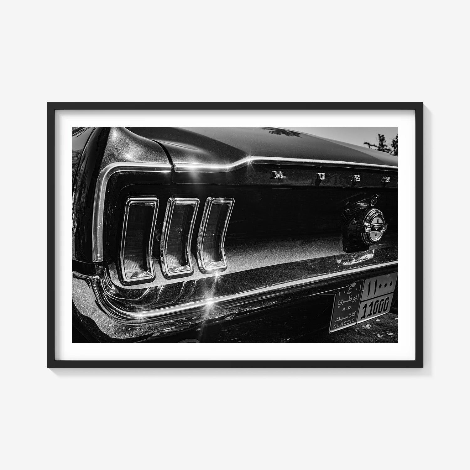 MIDNIGHT CHROME MUSTANG TAIL