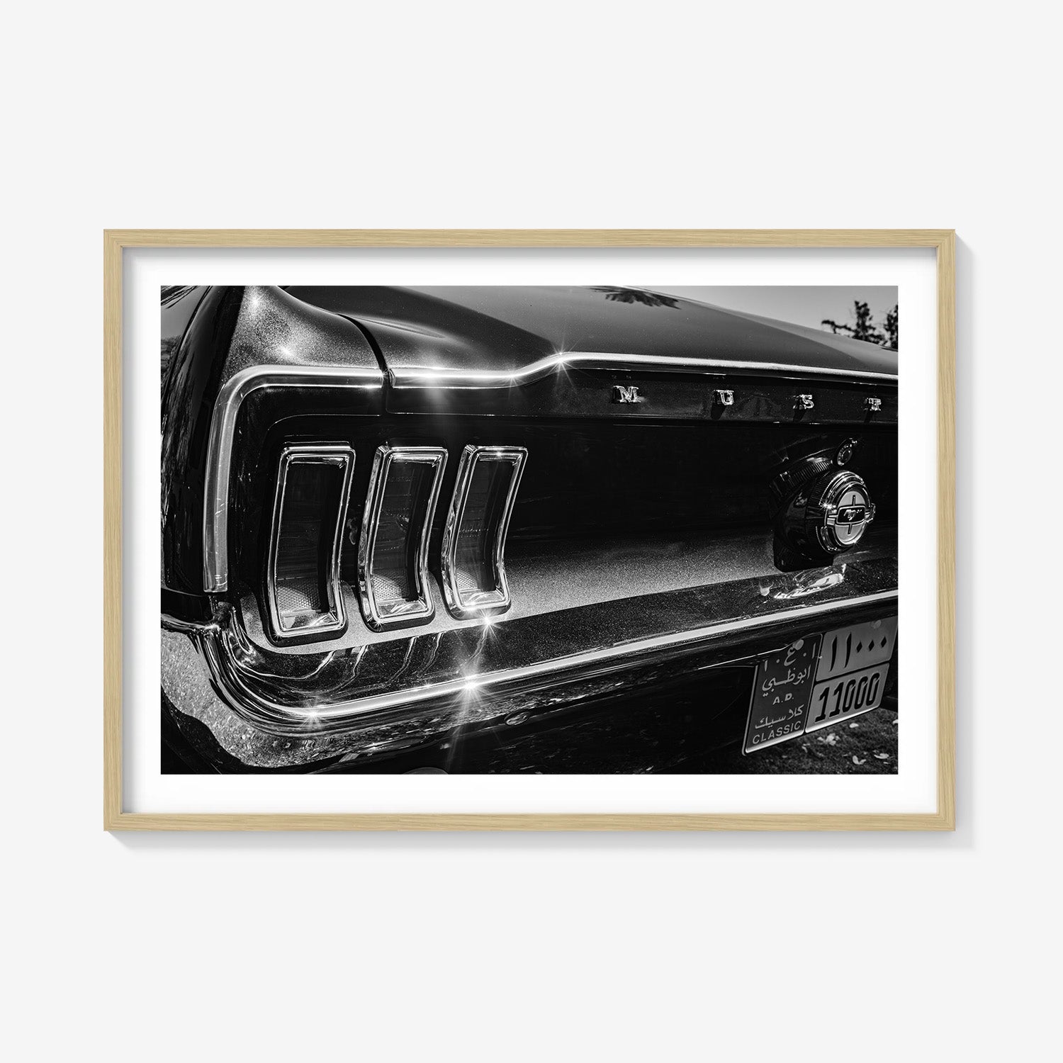 MIDNIGHT CHROME MUSTANG TAIL