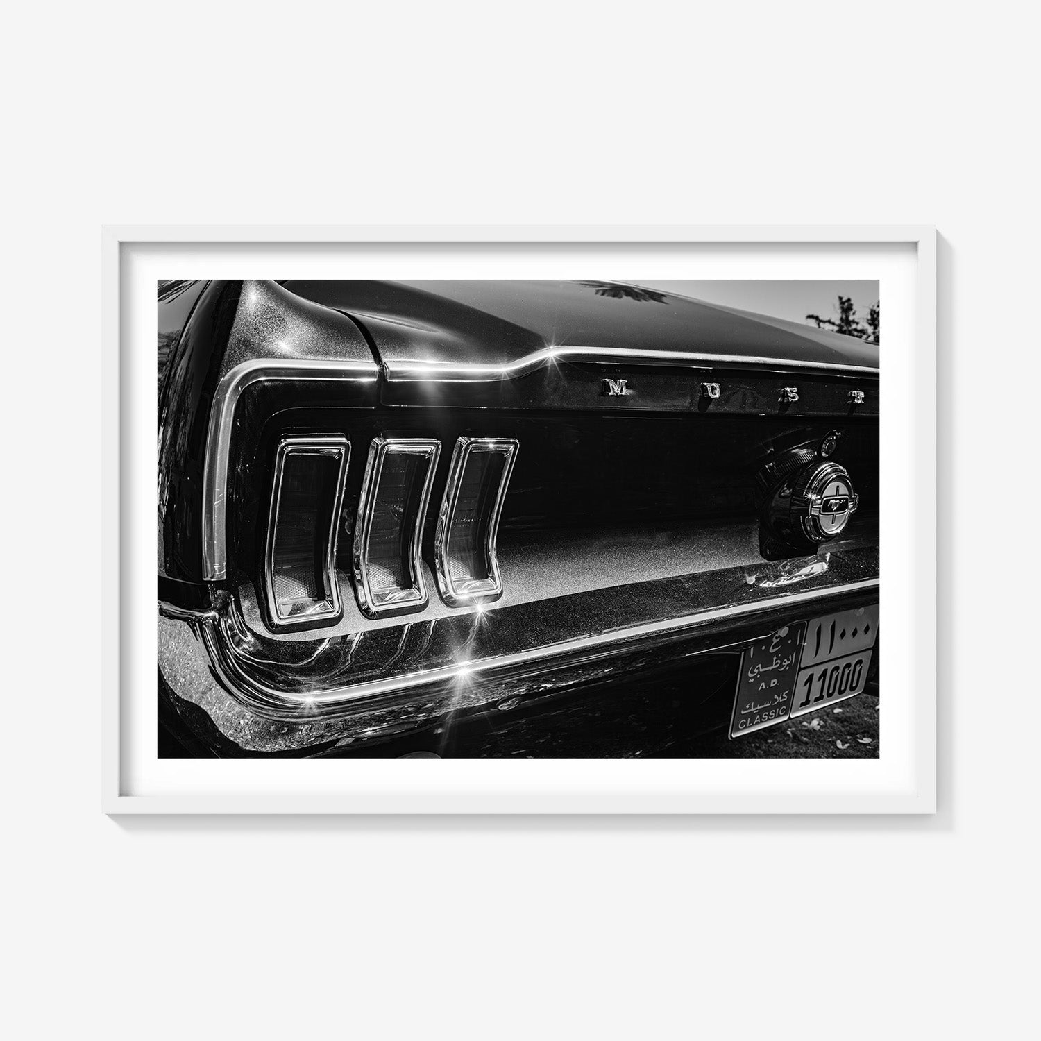MIDNIGHT CHROME MUSTANG TAIL