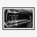 MIDNIGHT CHROME MUSTANG TAIL