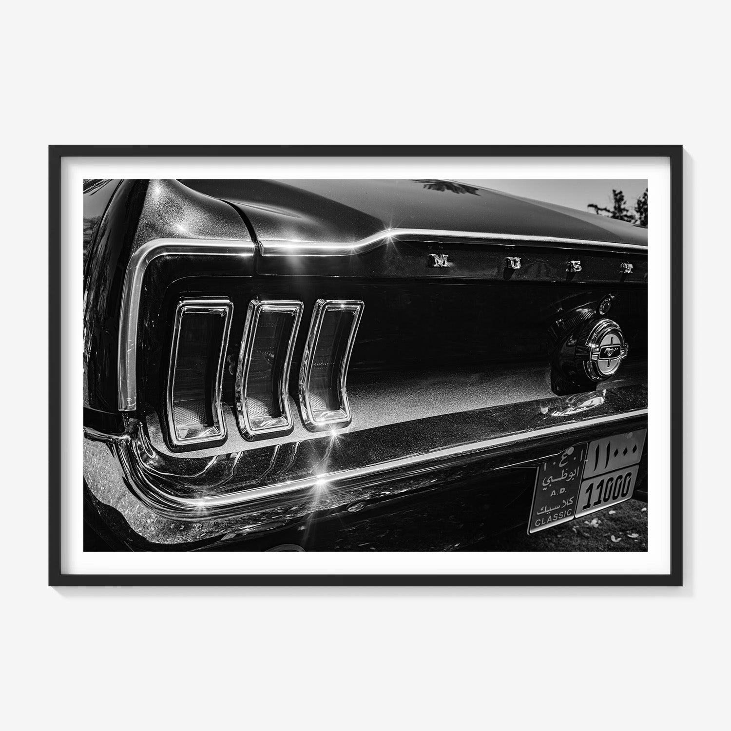 MIDNIGHT CHROME MUSTANG TAIL