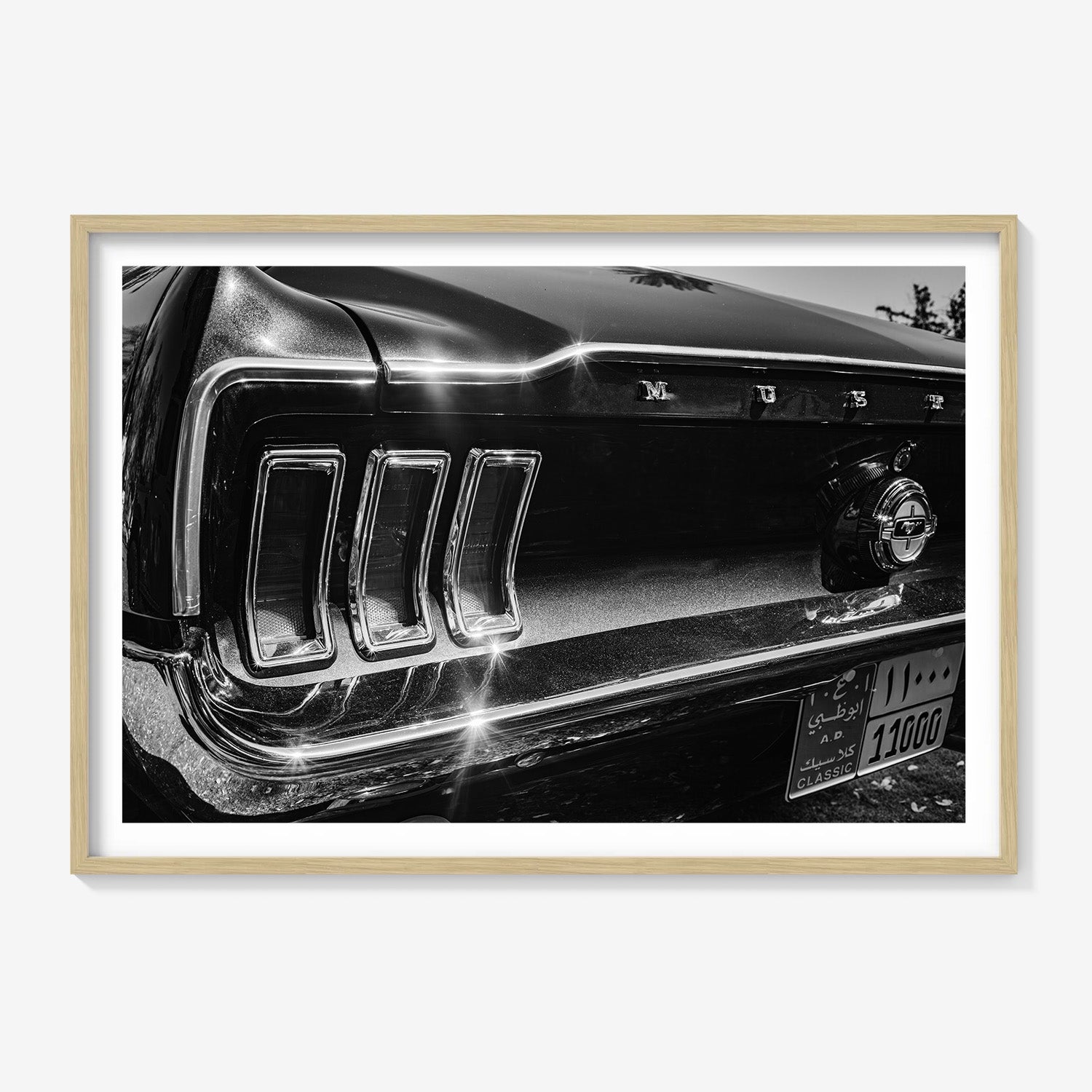 MIDNIGHT CHROME MUSTANG TAIL