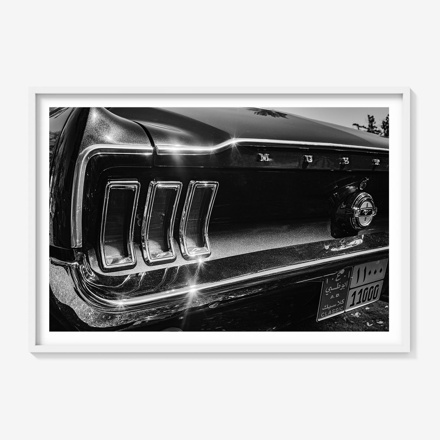 MIDNIGHT CHROME MUSTANG TAIL