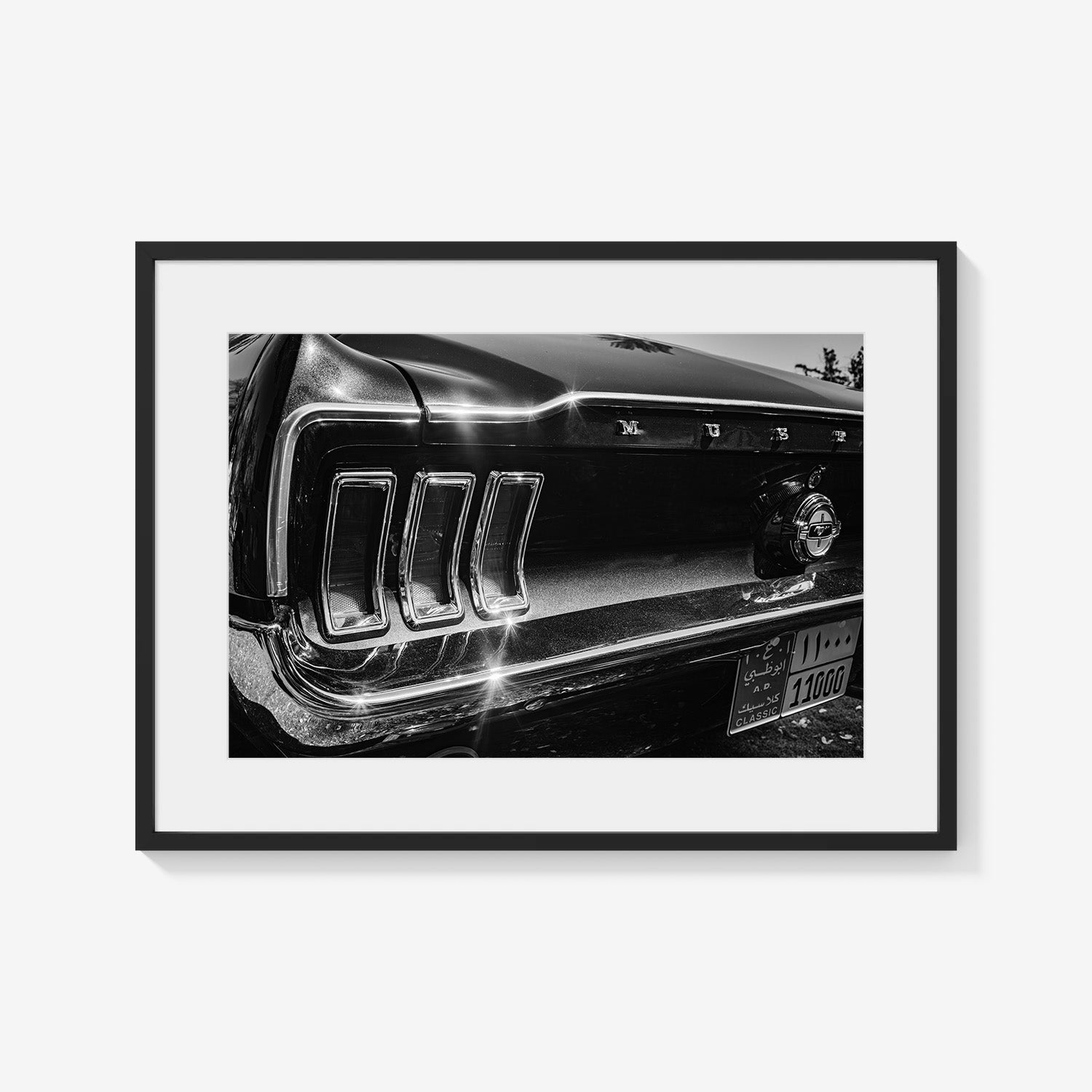 MIDNIGHT CHROME MUSTANG TAIL