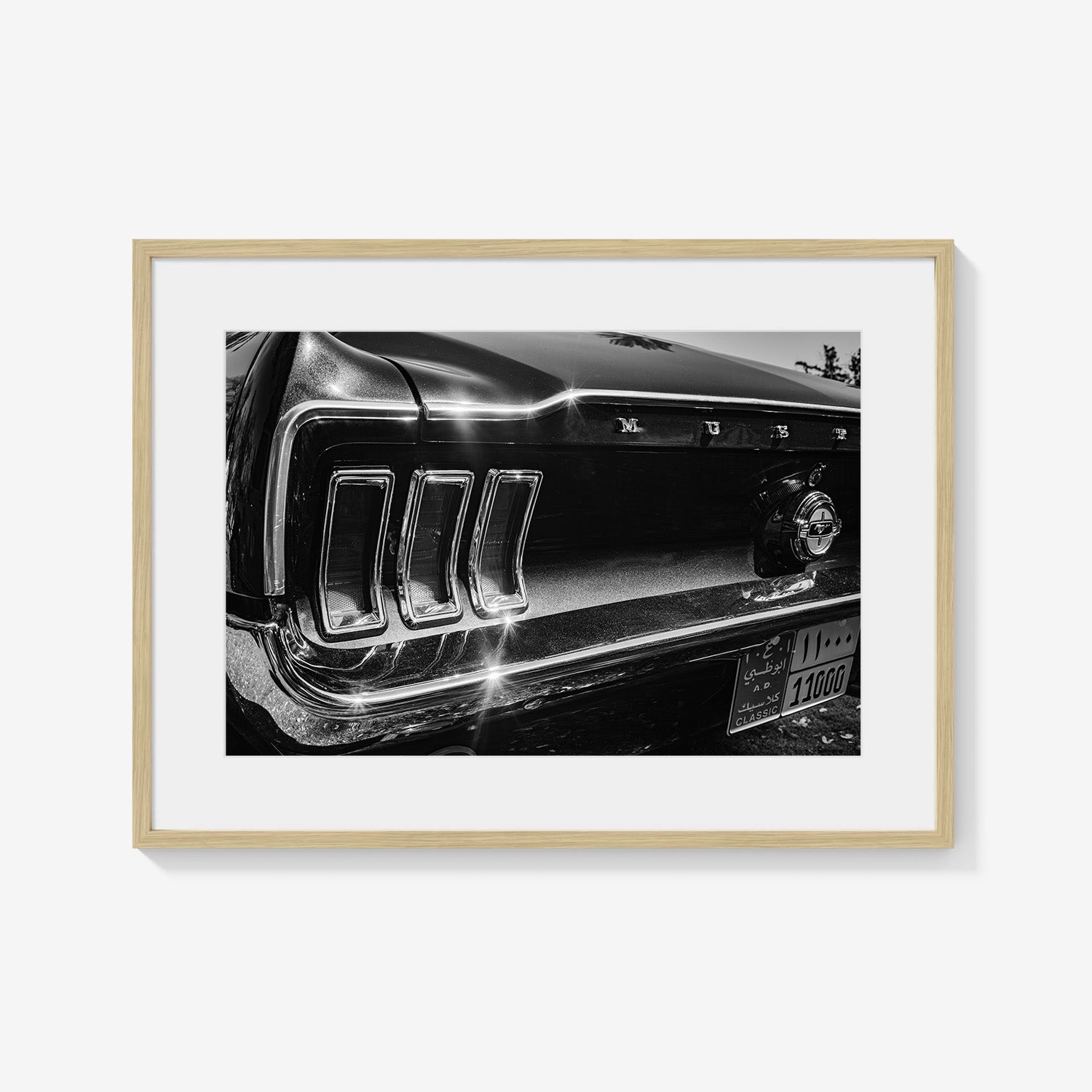 MIDNIGHT CHROME MUSTANG TAIL
