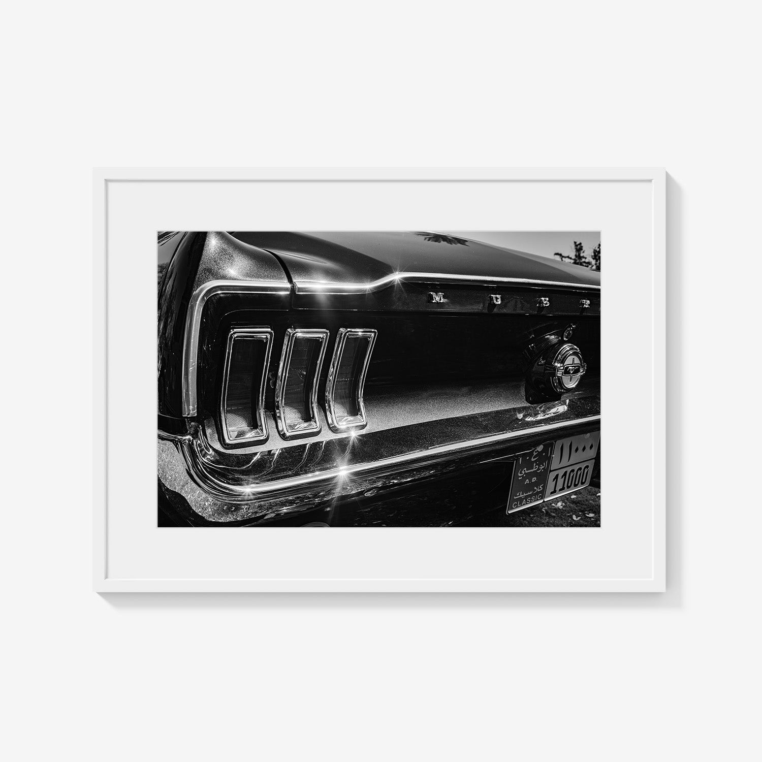 MIDNIGHT CHROME MUSTANG TAIL