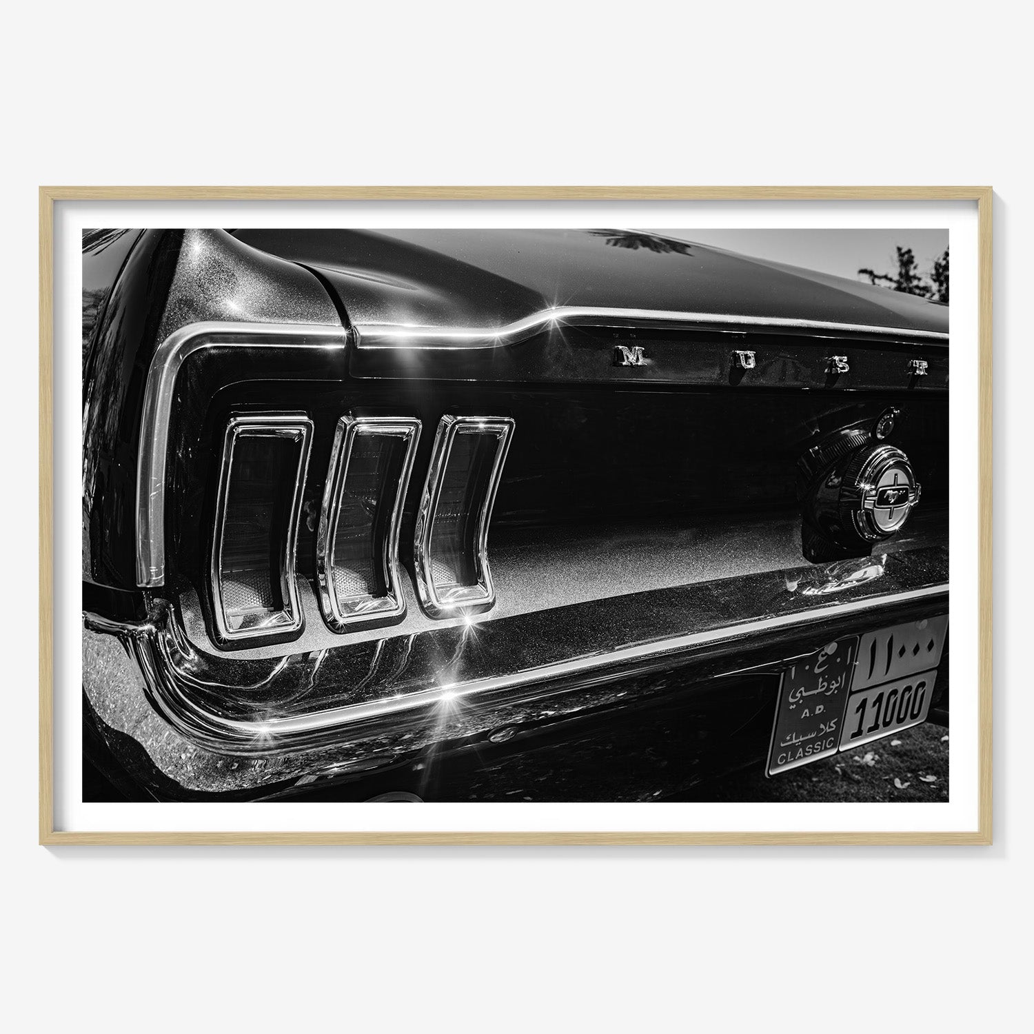 MIDNIGHT CHROME MUSTANG TAIL