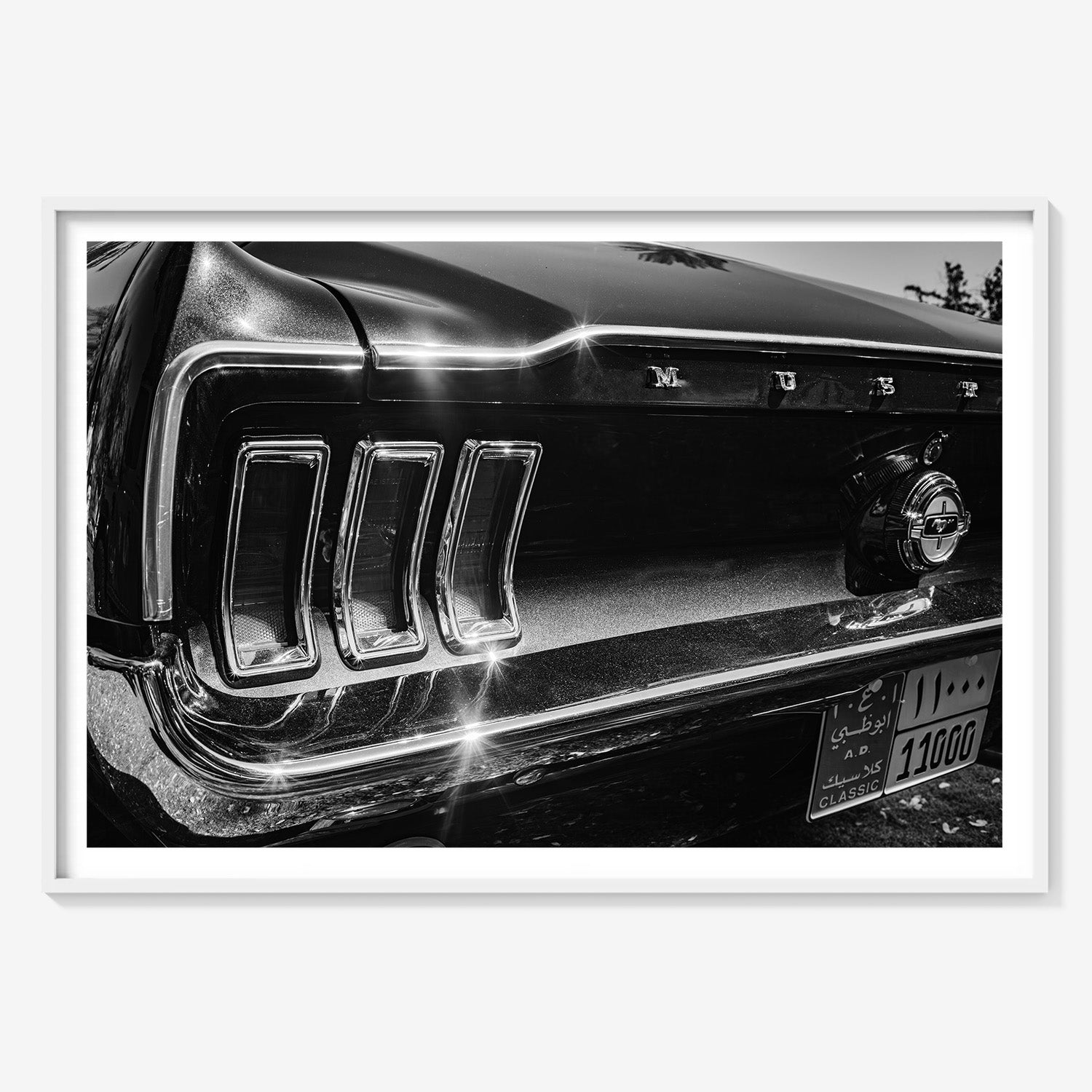 MIDNIGHT CHROME MUSTANG TAIL