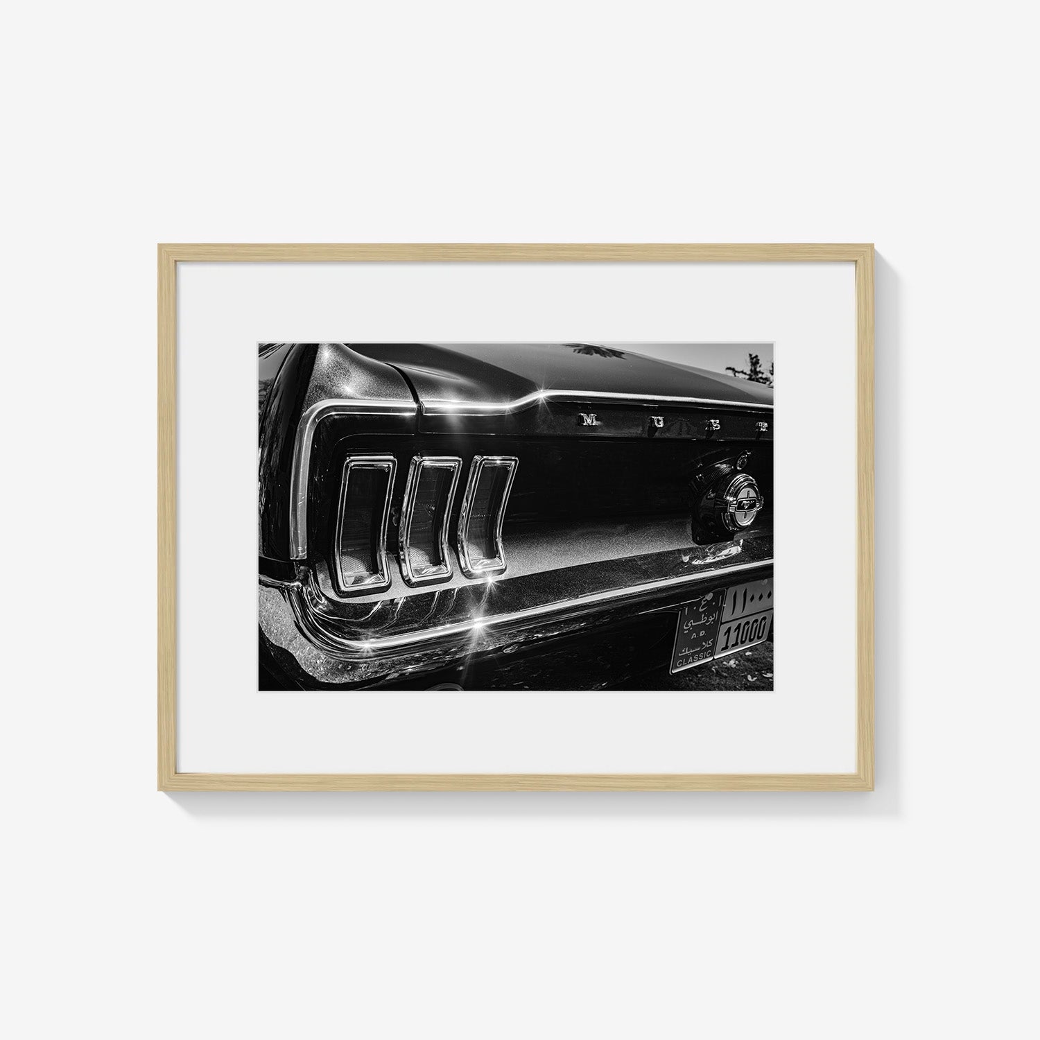MIDNIGHT CHROME MUSTANG TAIL