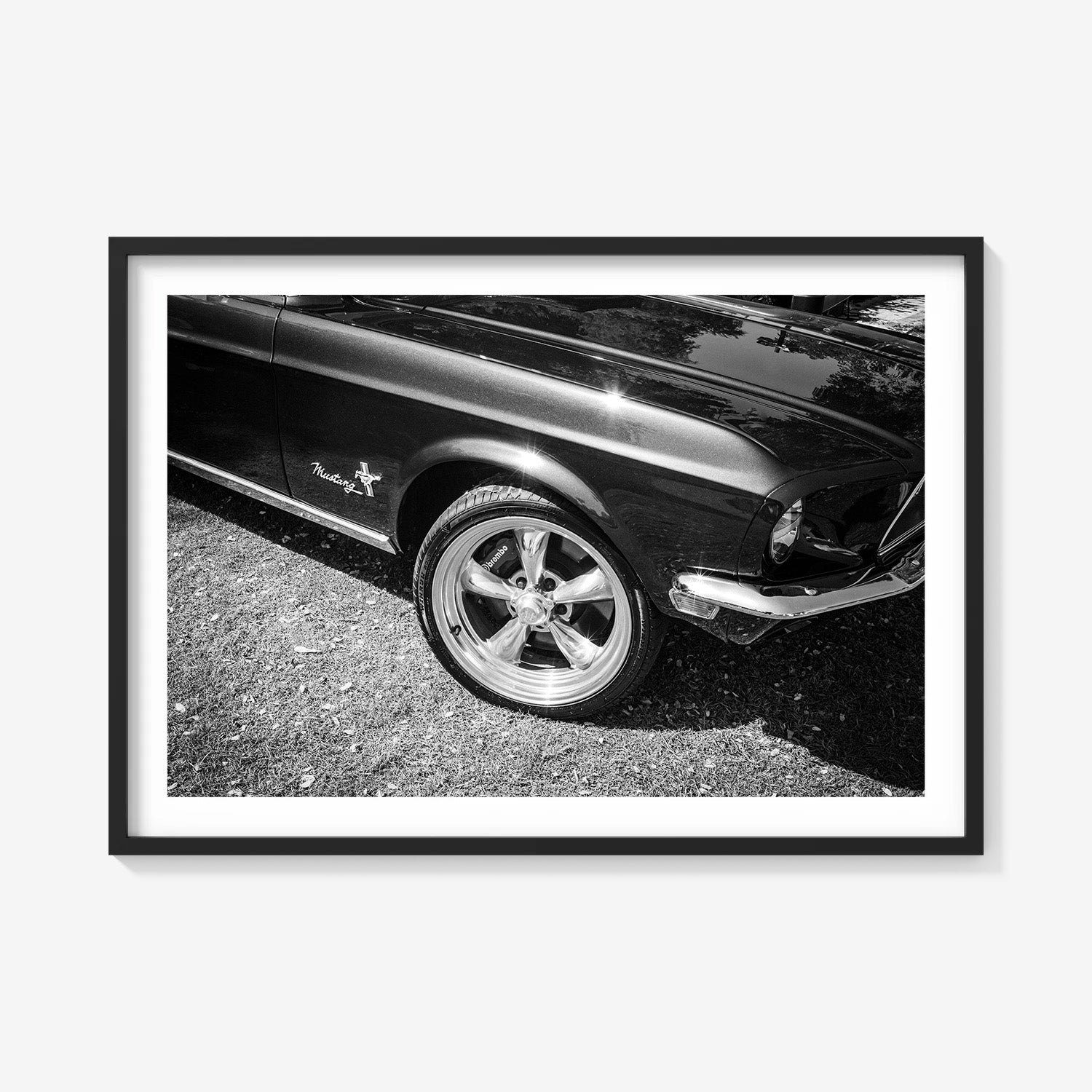 MIDNIGHT MUSTANG