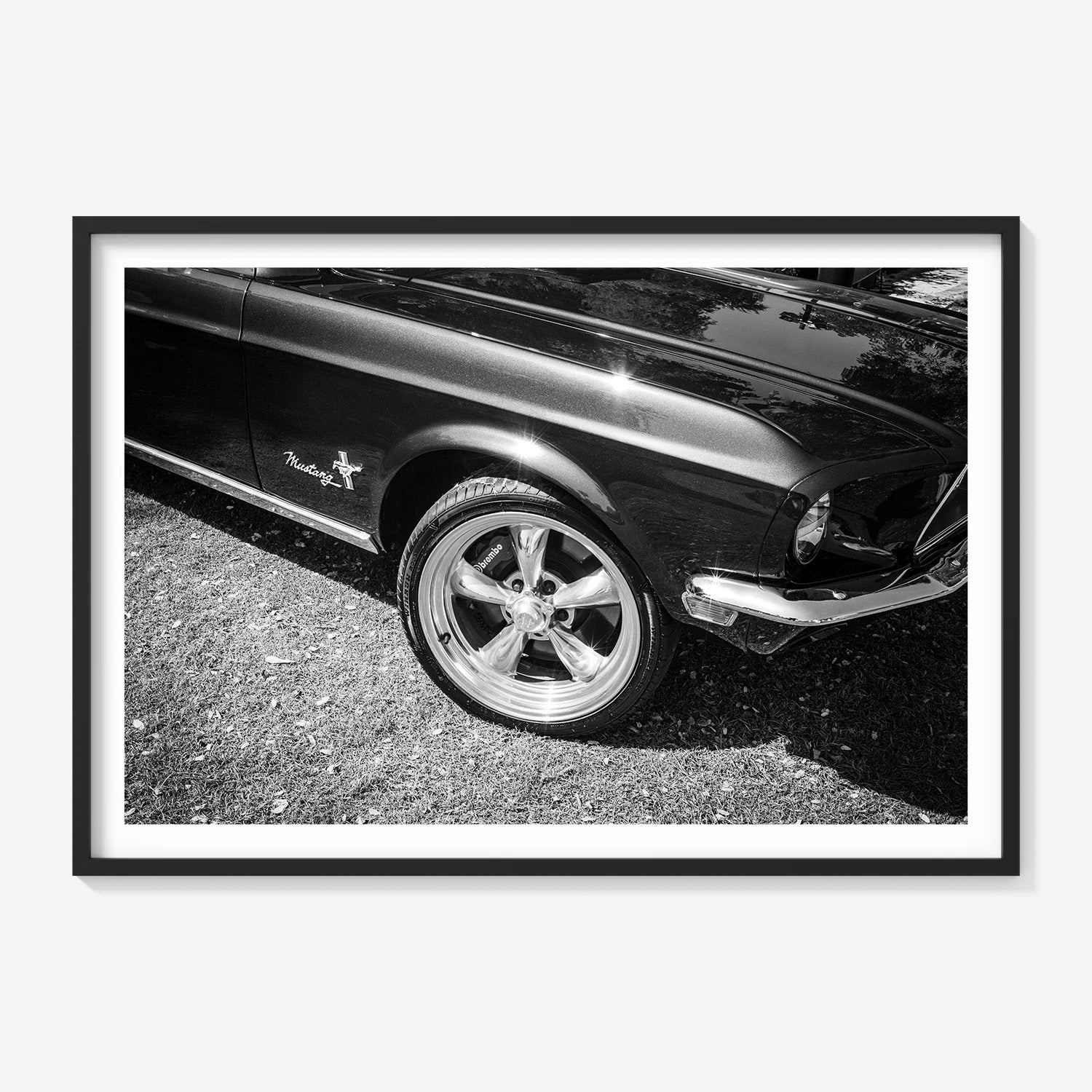 MIDNIGHT MUSTANG