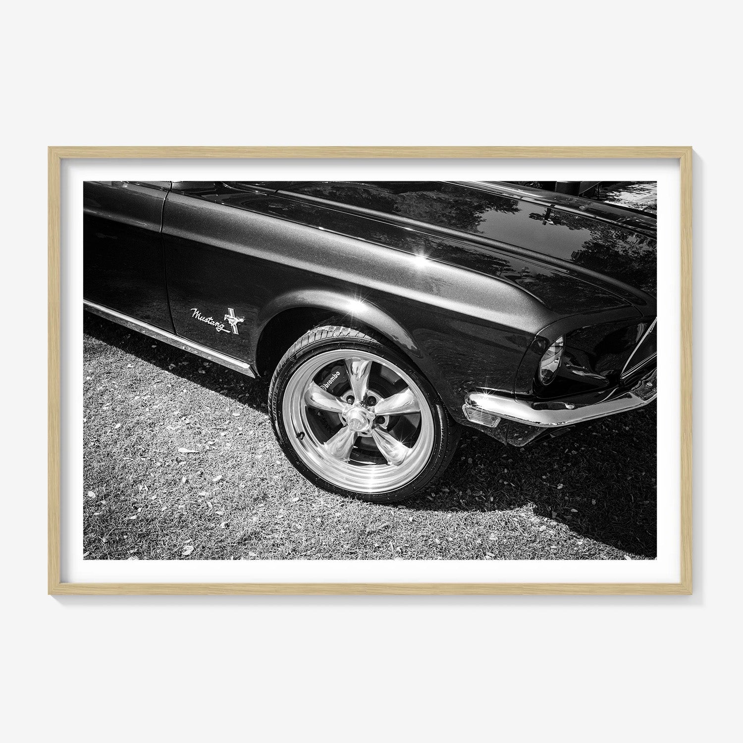 MIDNIGHT MUSTANG