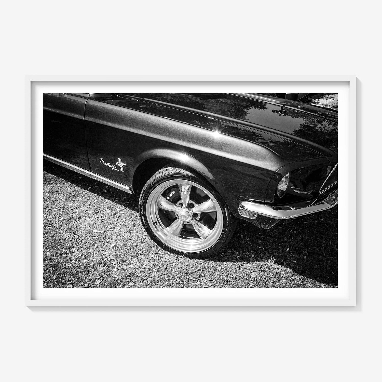 MIDNIGHT MUSTANG
