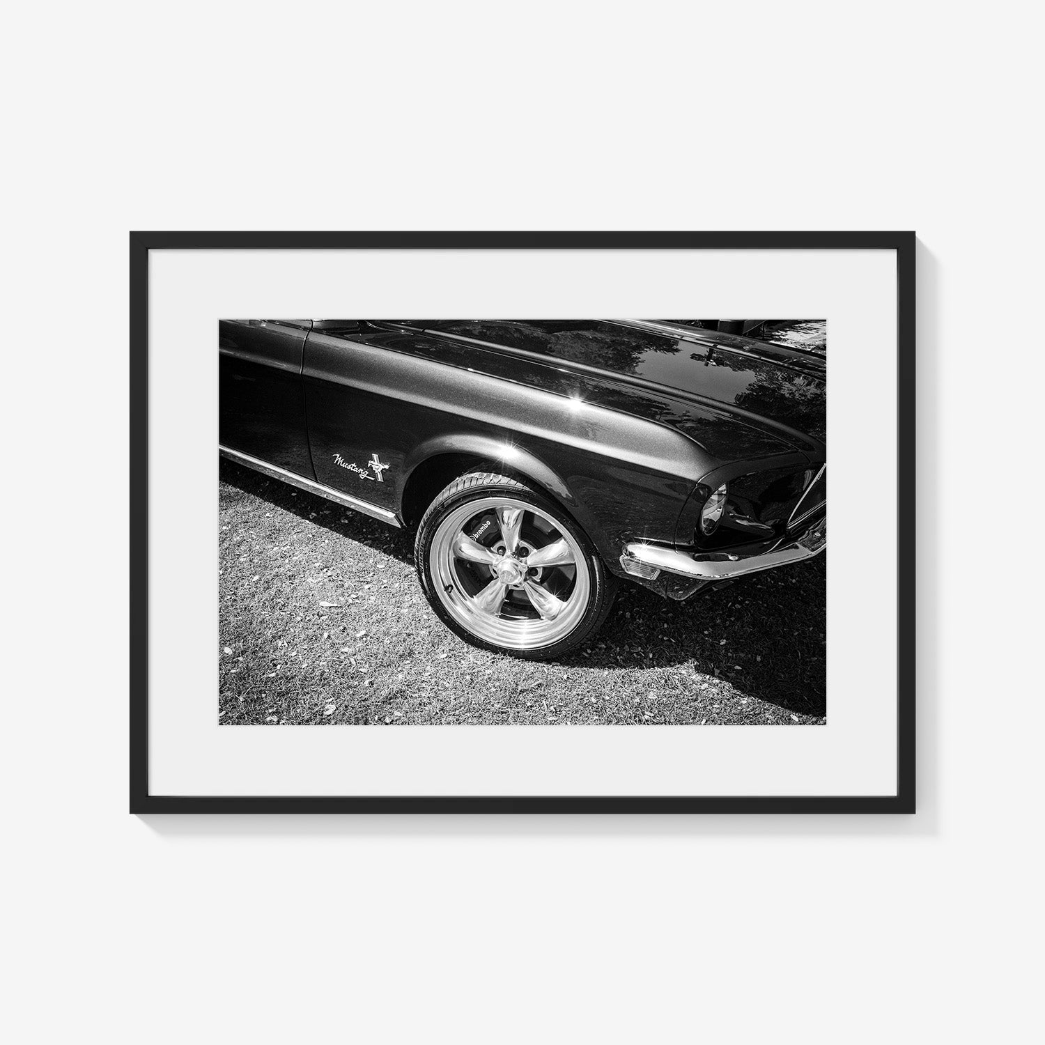 MIDNIGHT MUSTANG
