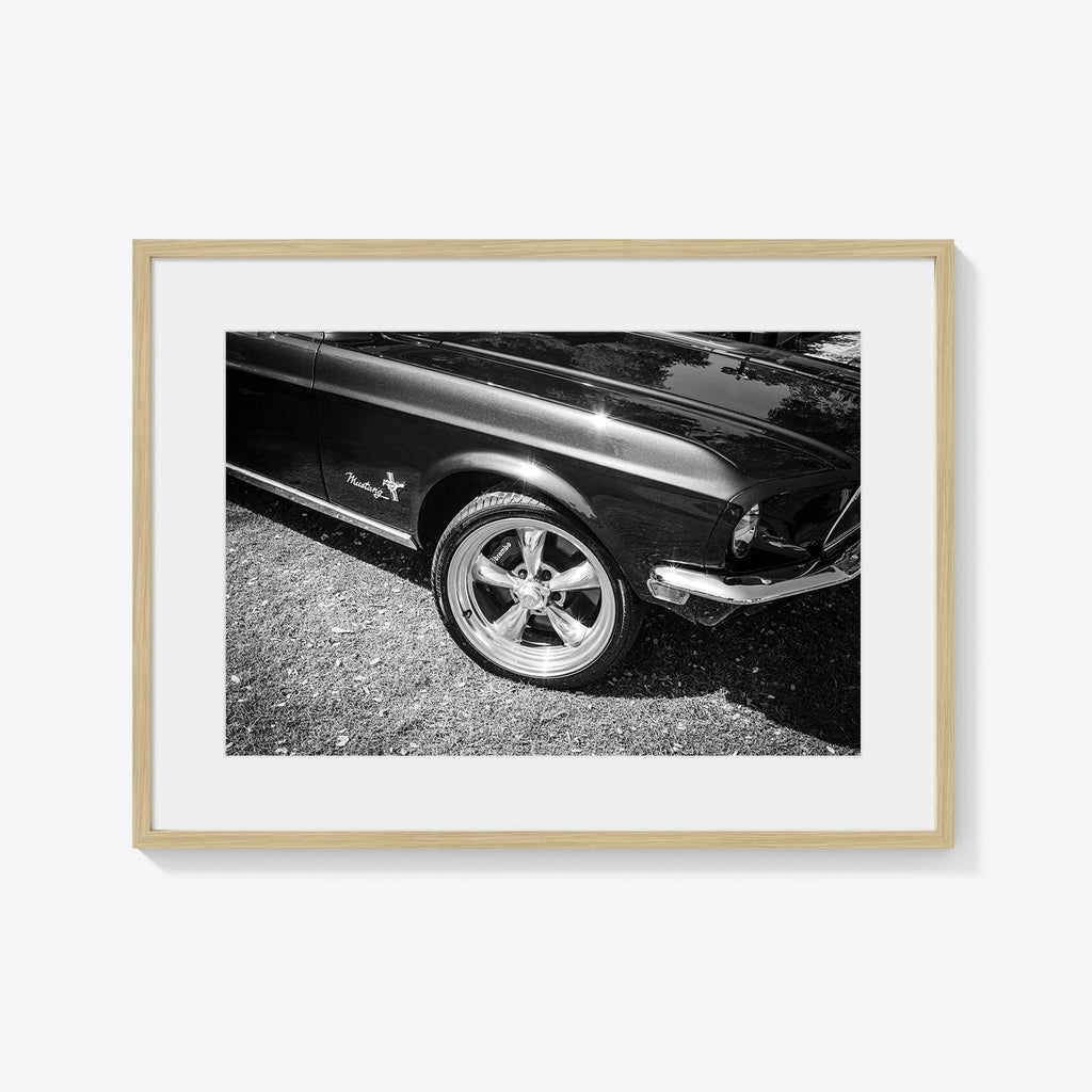 MIDNIGHT MUSTANG