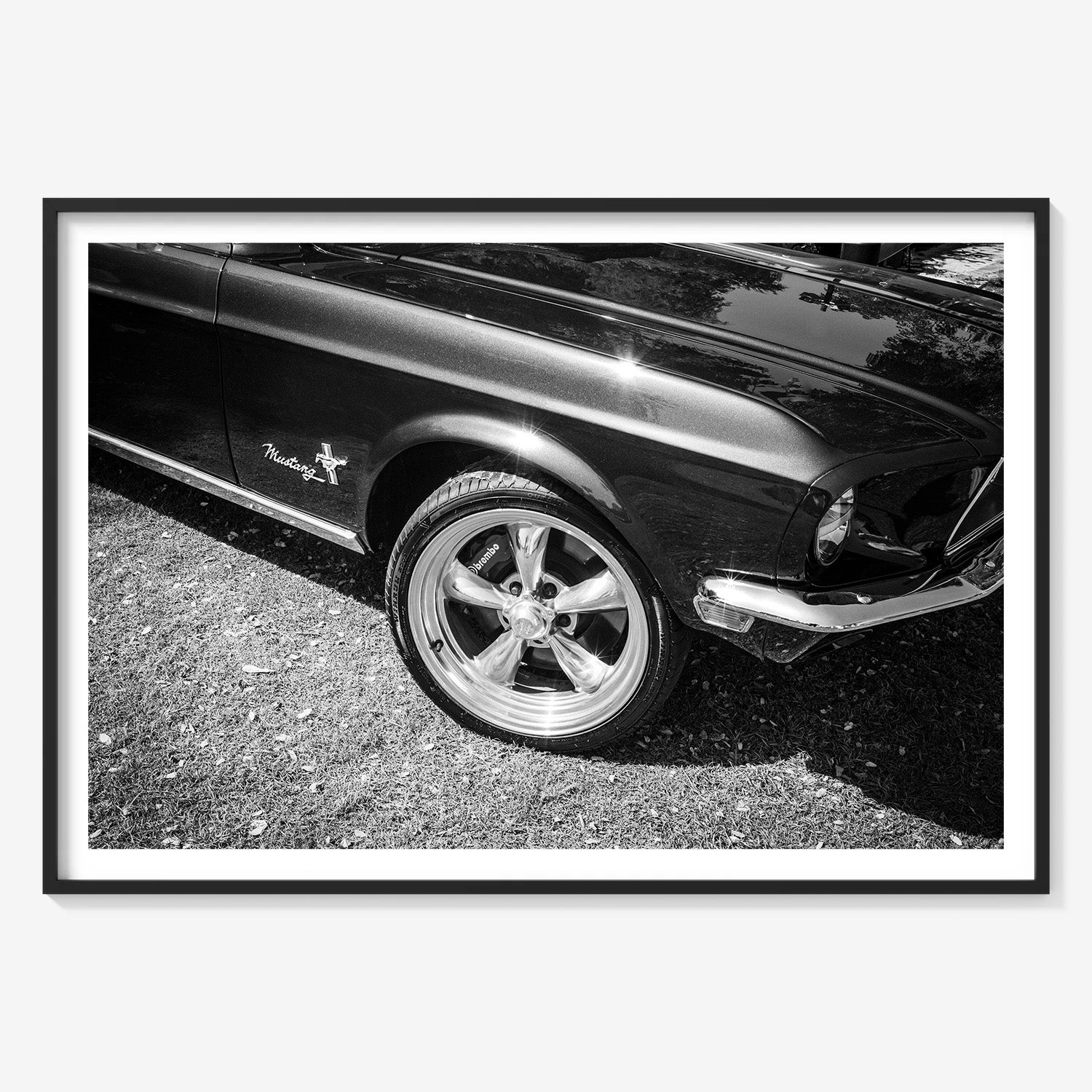 MIDNIGHT MUSTANG