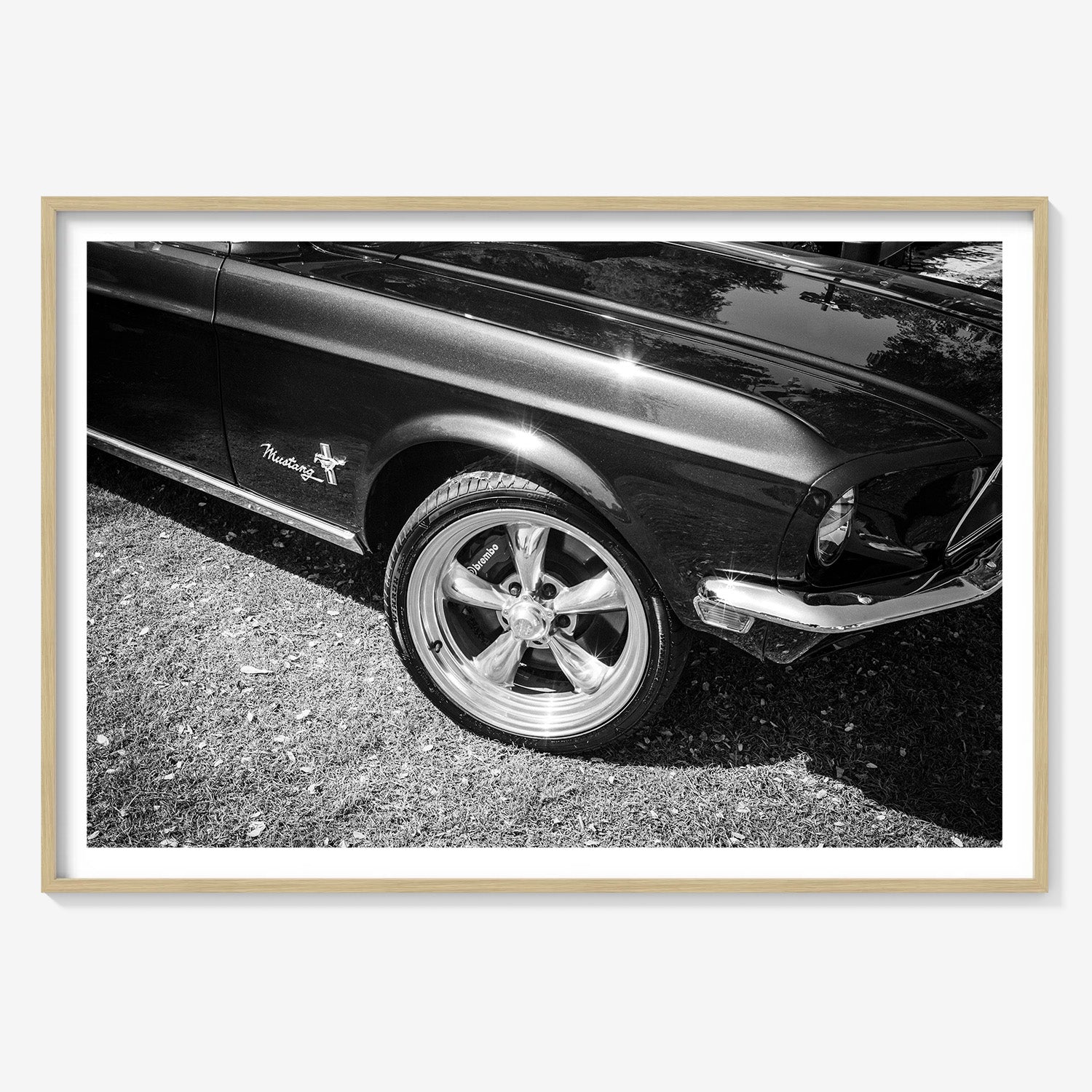 MIDNIGHT MUSTANG