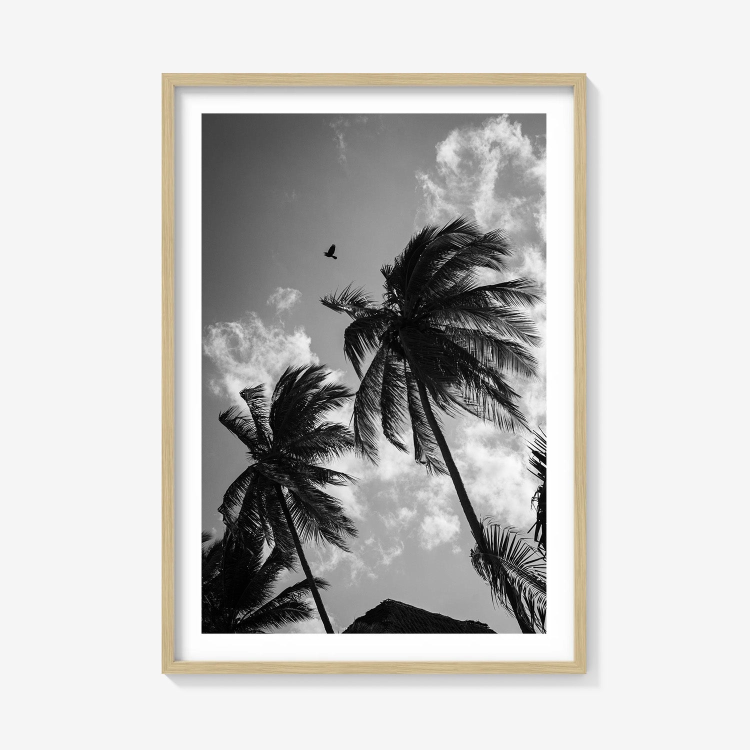 OPEN SKIES