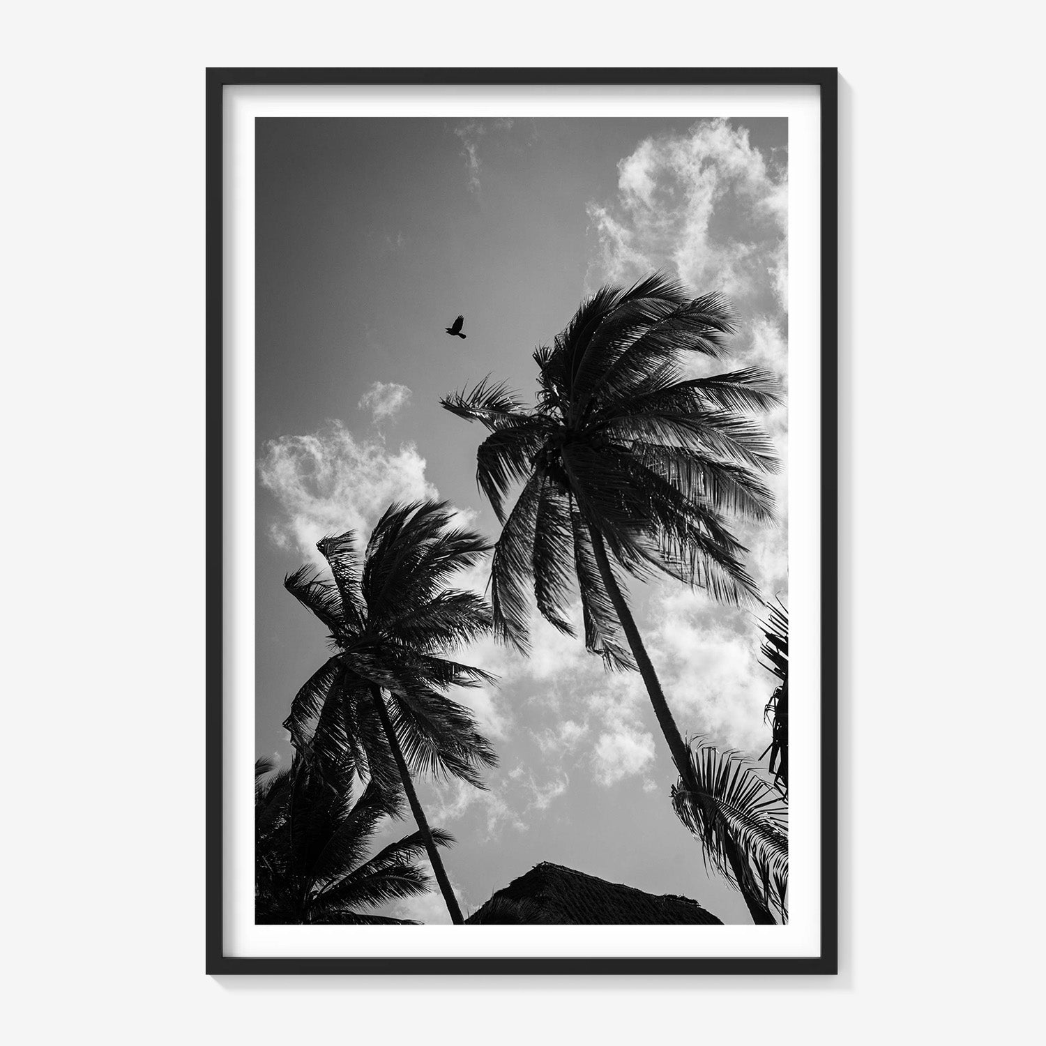 OPEN SKIES