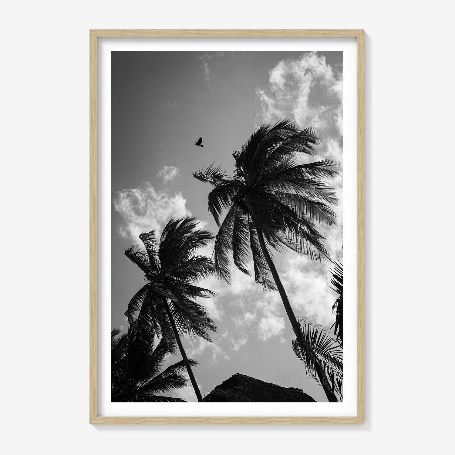 OPEN SKIES