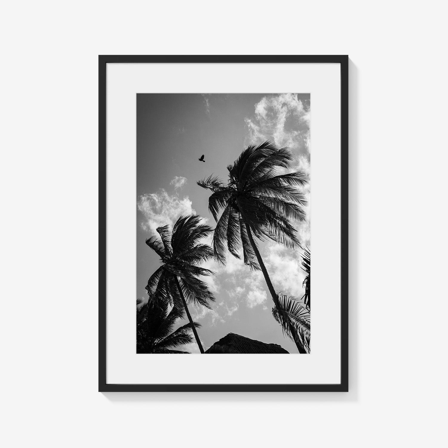 OPEN SKIES