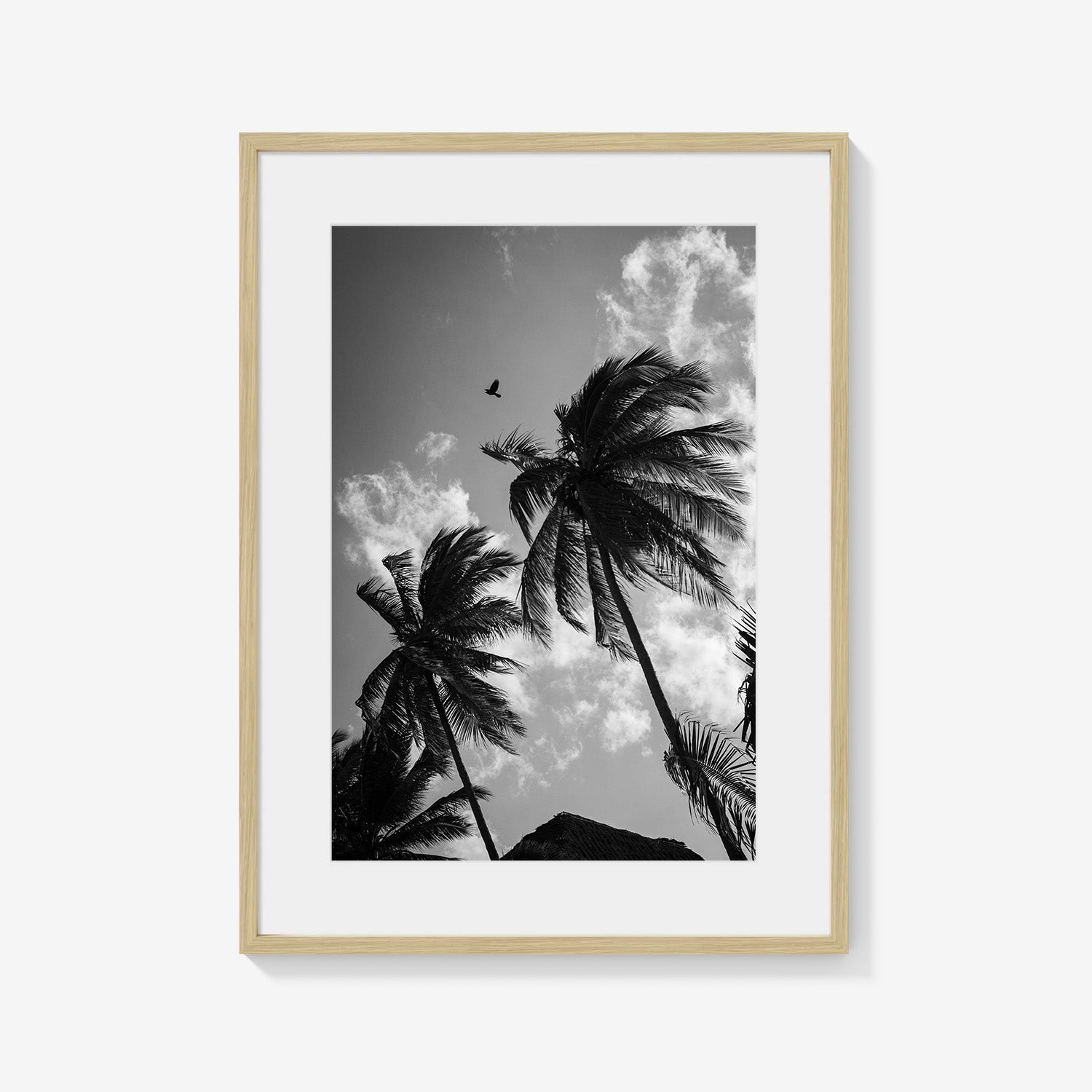 OPEN SKIES