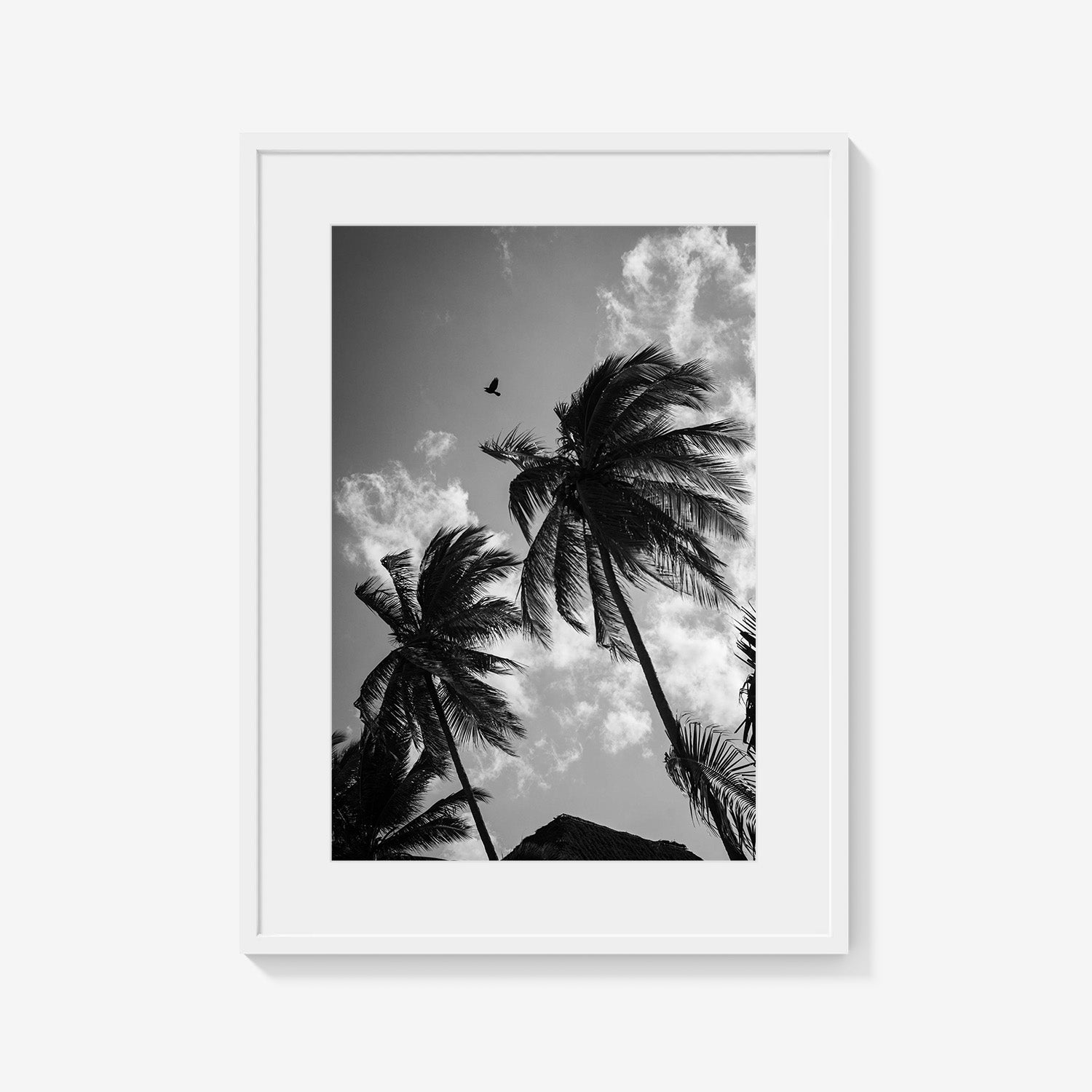 OPEN SKIES