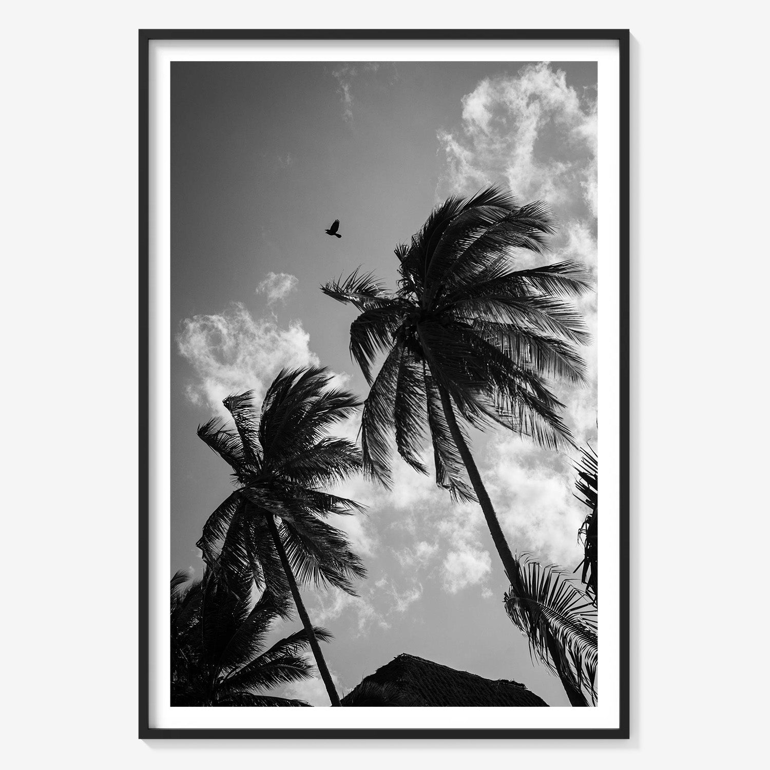OPEN SKIES