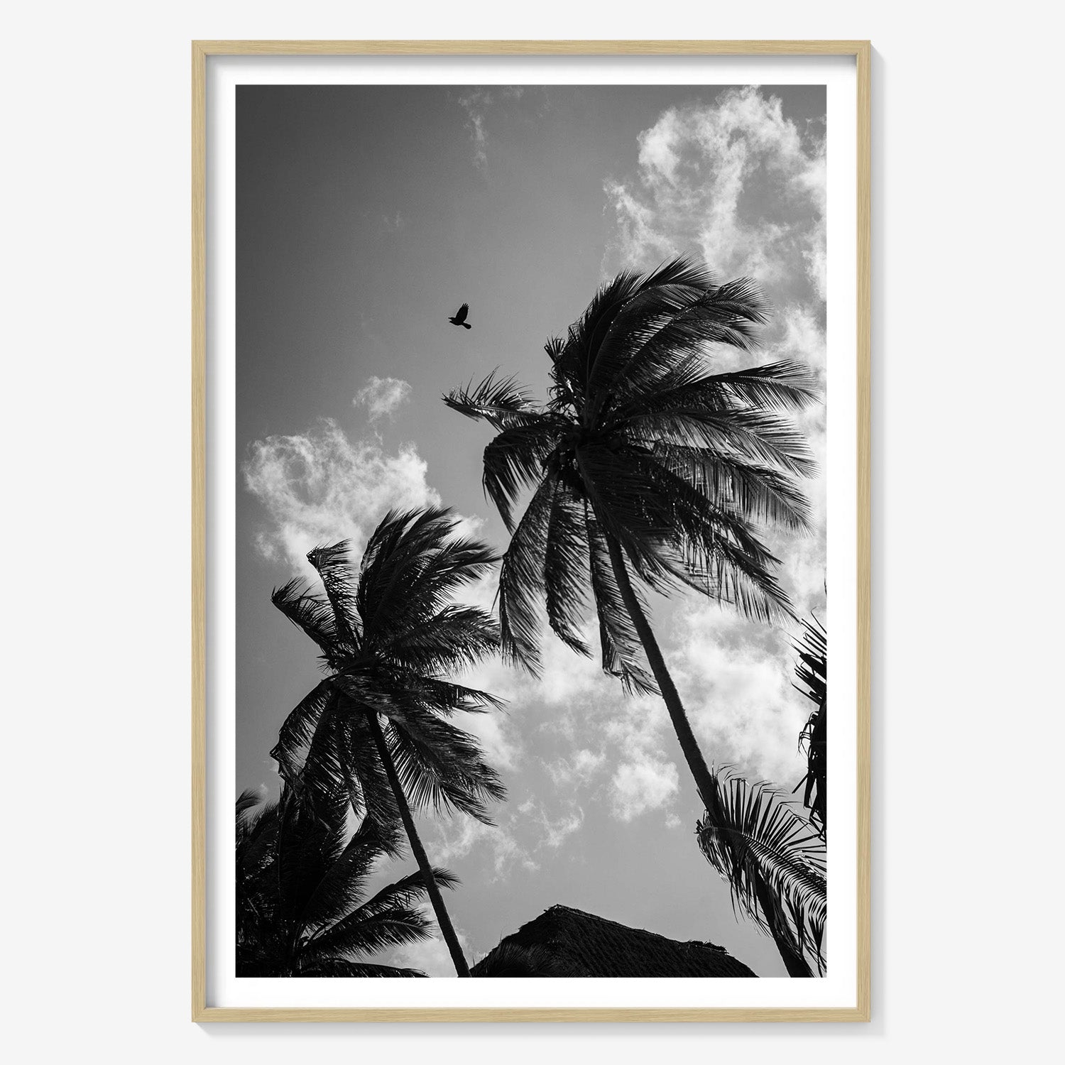 OPEN SKIES