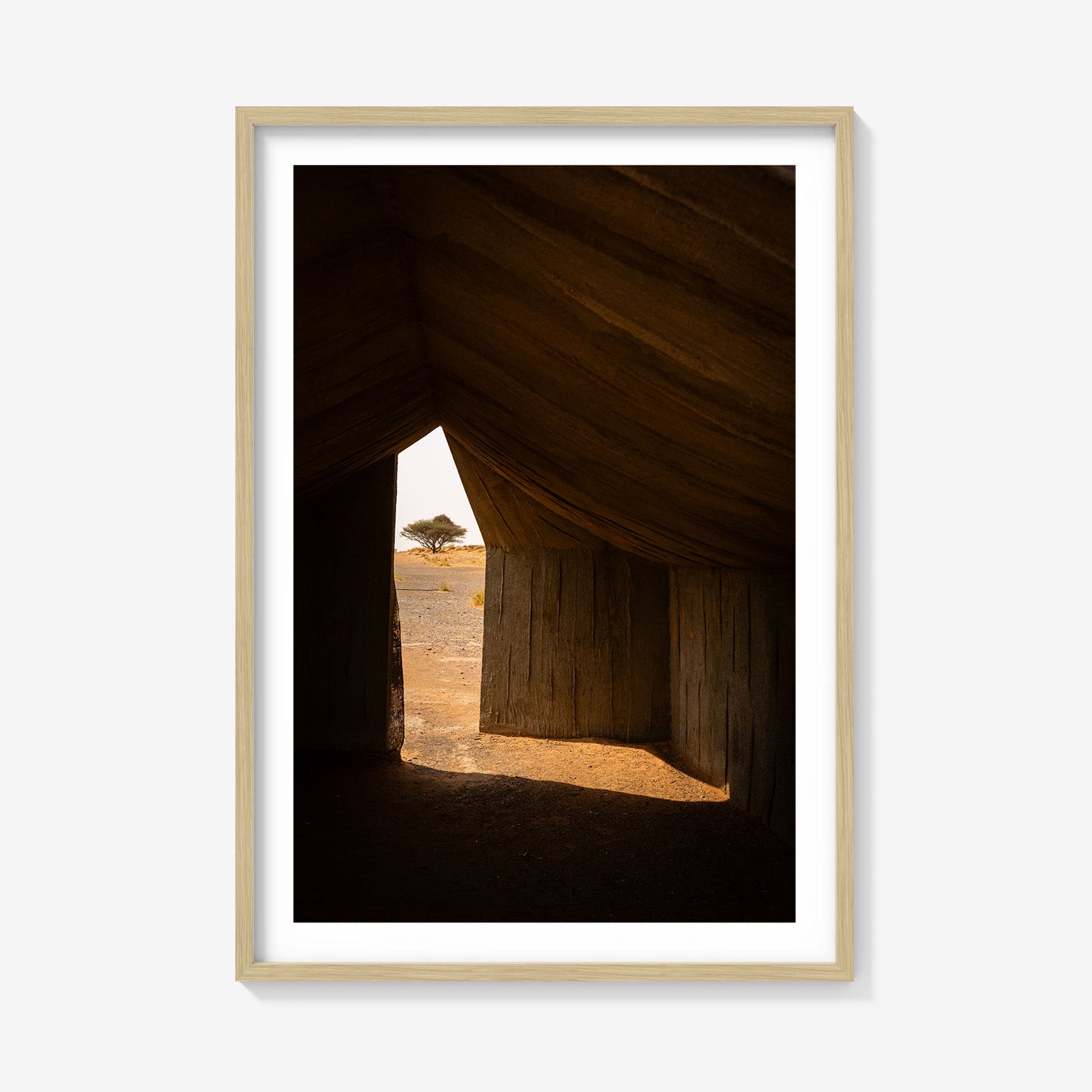 SHELTER
