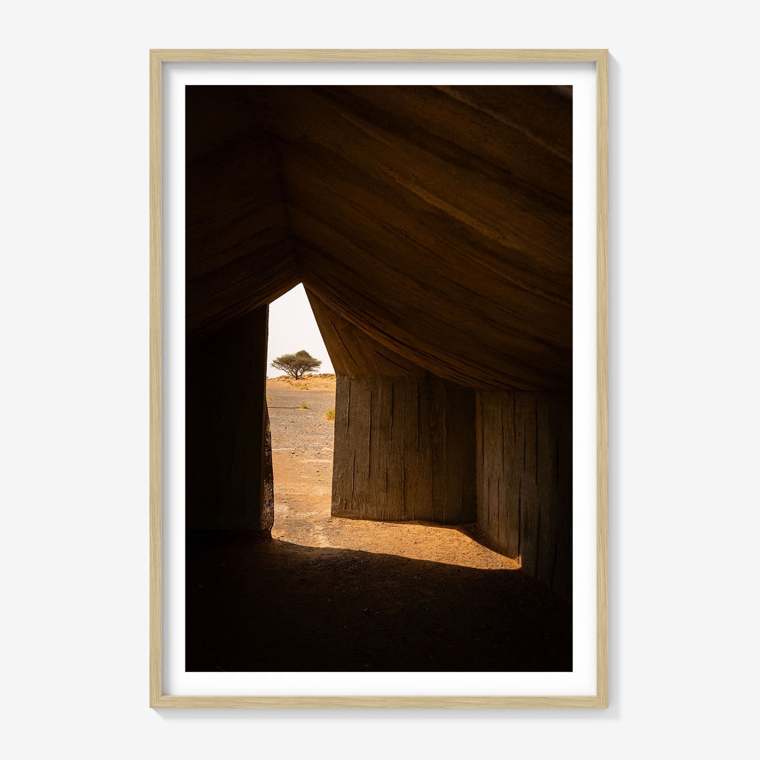 SHELTER