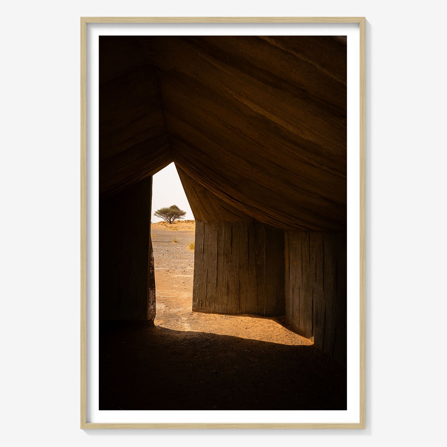 SHELTER