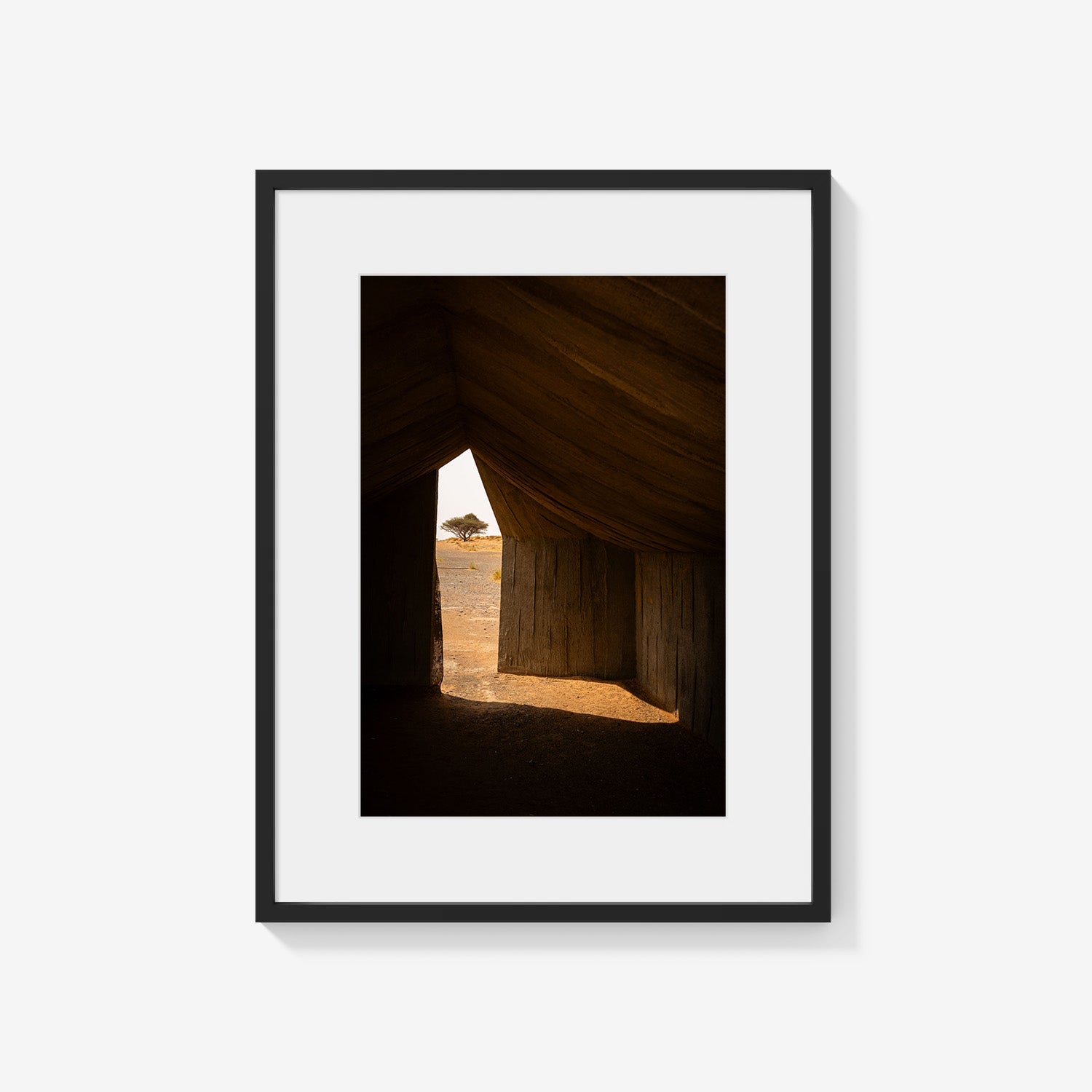 SHELTER