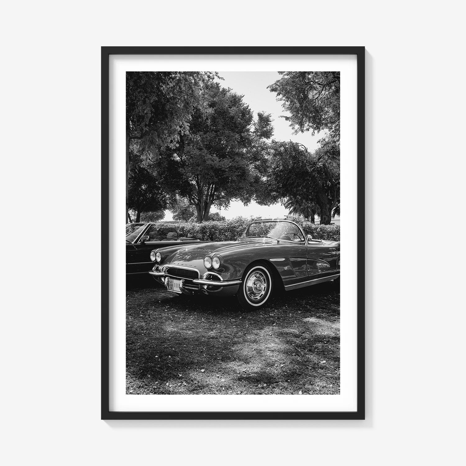 SILVER DRIVE CORVETTE