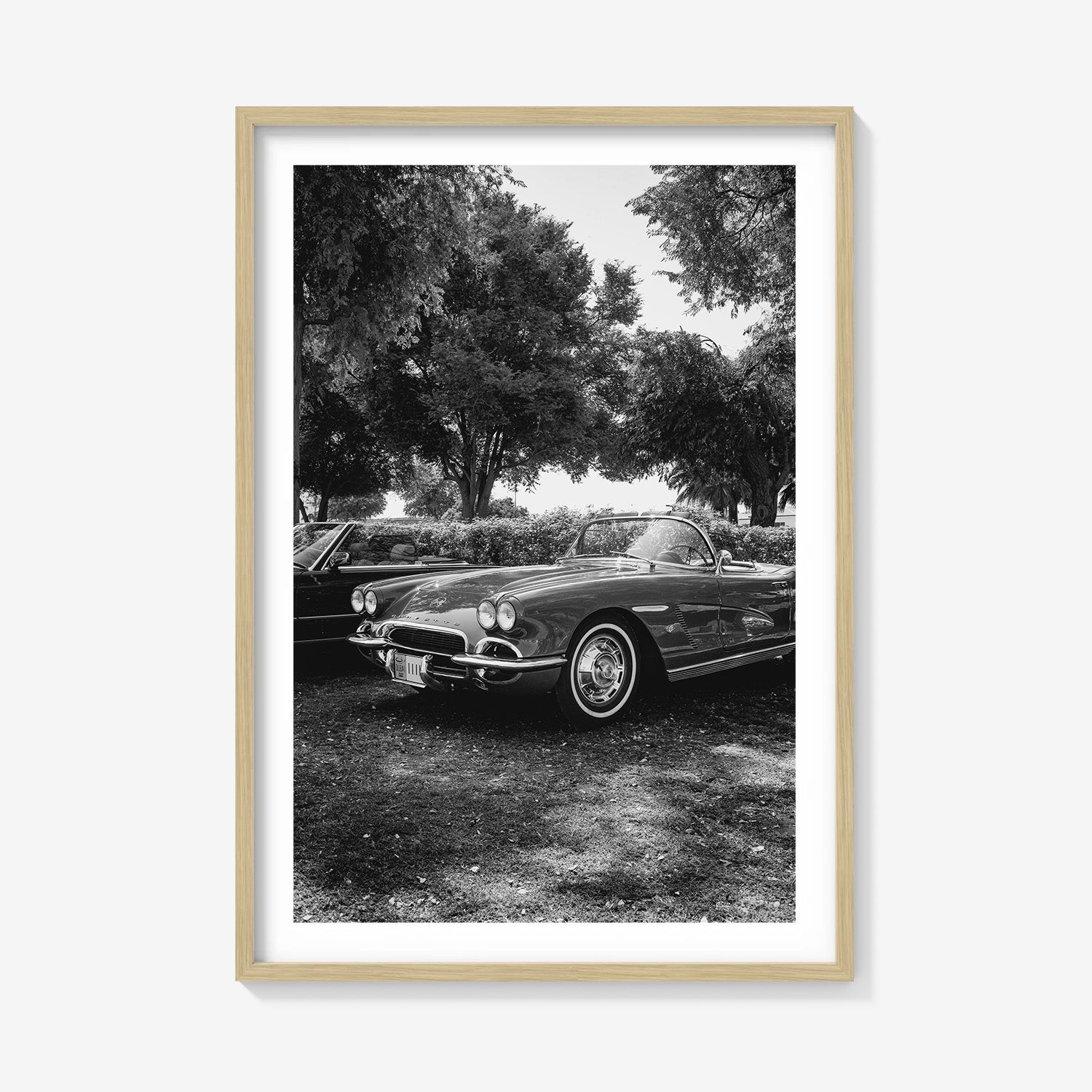 SILVER DRIVE CORVETTE