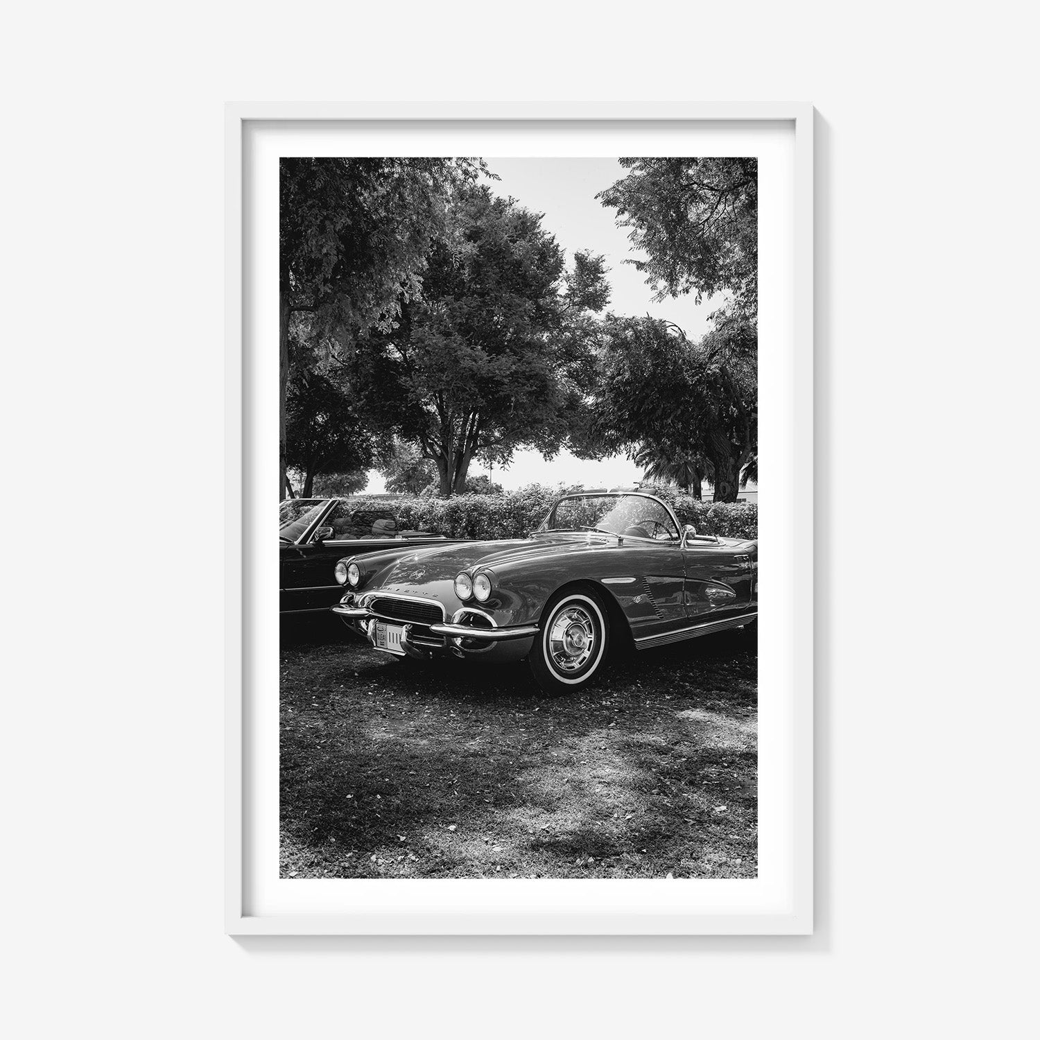 SILVER DRIVE CORVETTE