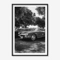 SILVER DRIVE CORVETTE