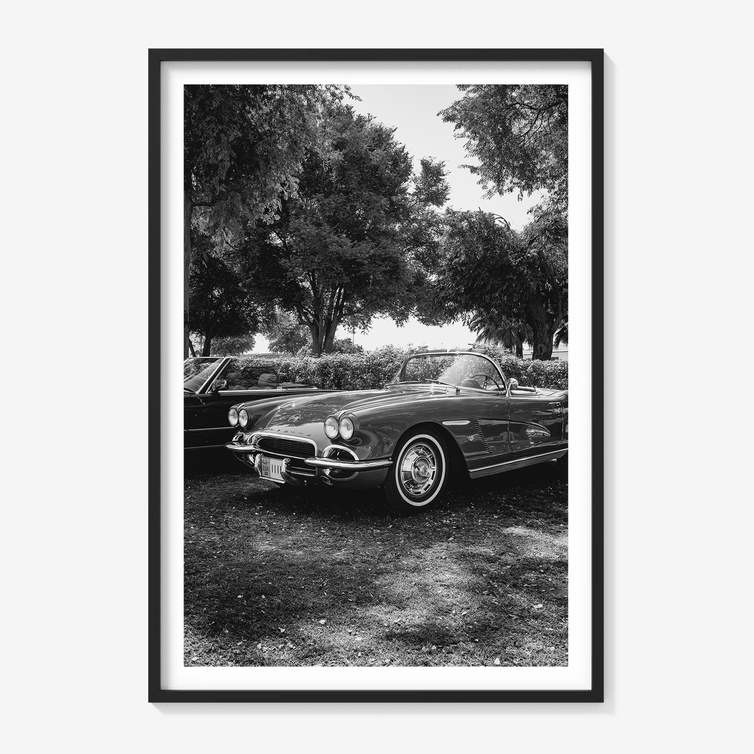 SILVER DRIVE CORVETTE