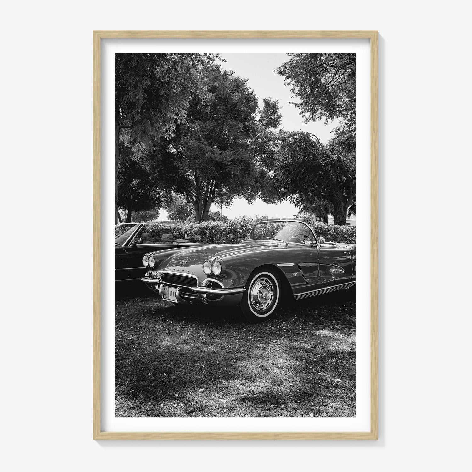 SILVER DRIVE CORVETTE
