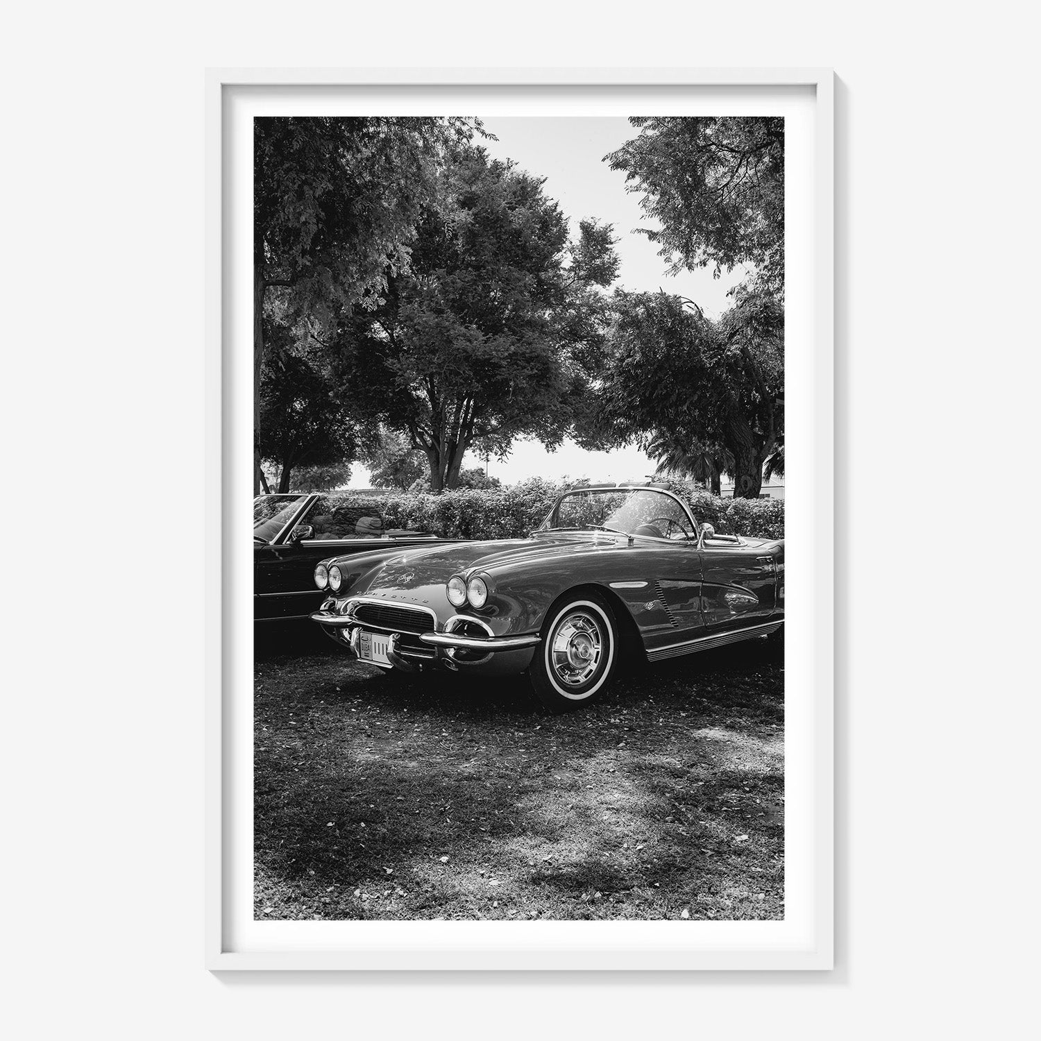 SILVER DRIVE CORVETTE