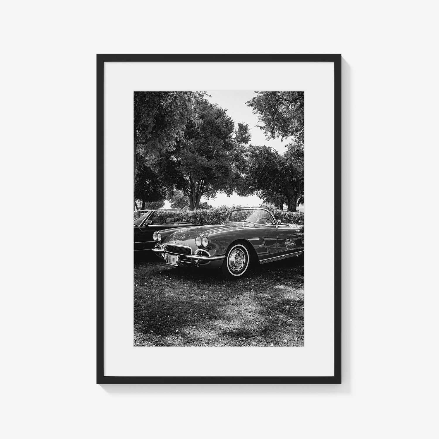 SILVER DRIVE CORVETTE