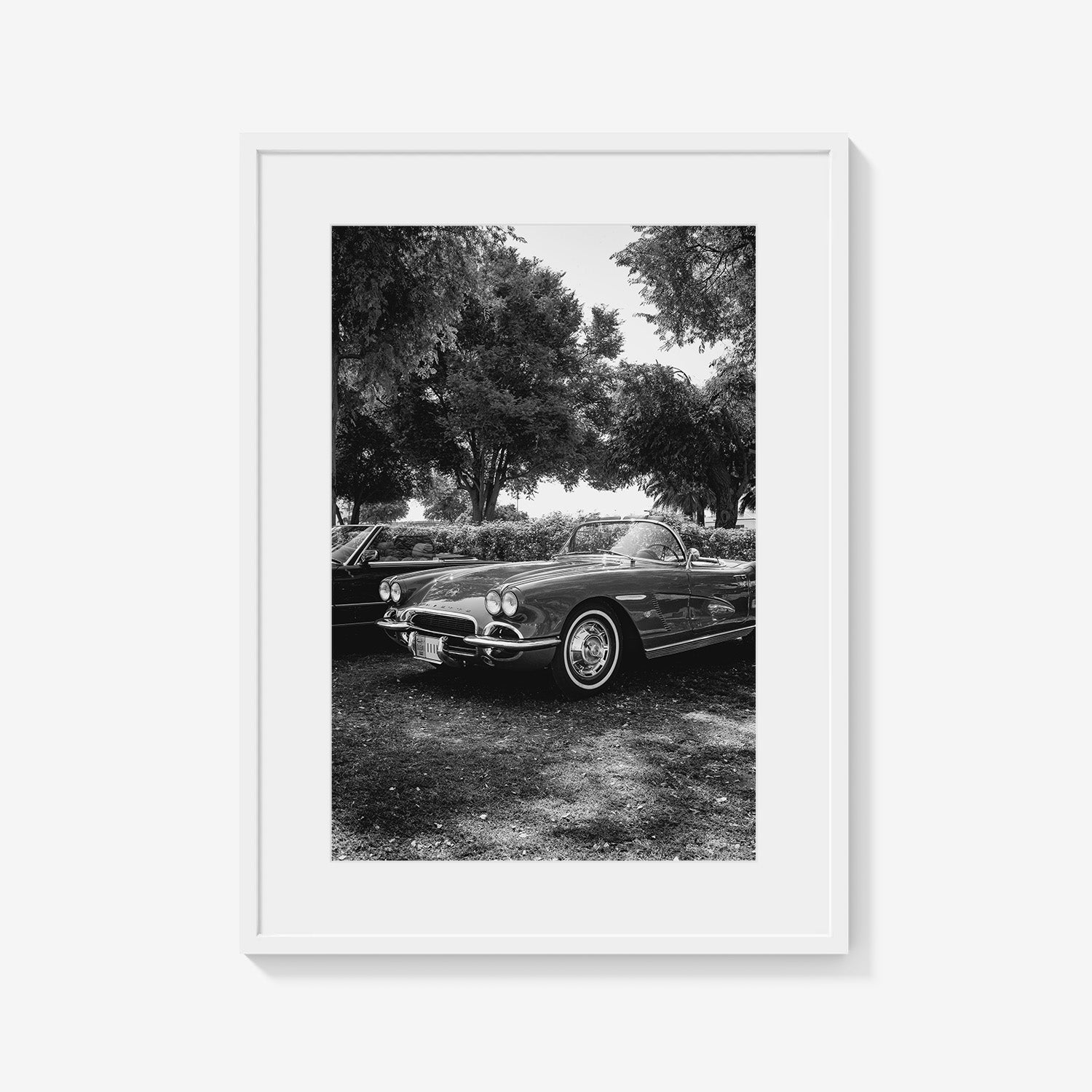 SILVER DRIVE CORVETTE
