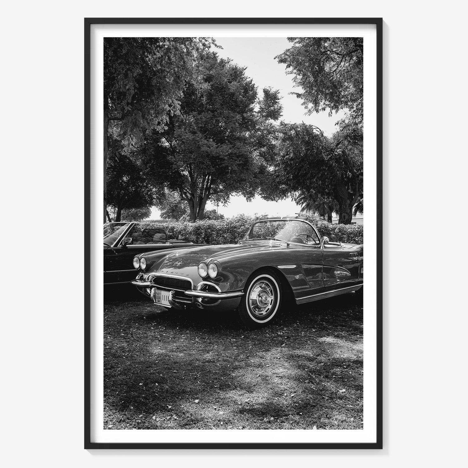 SILVER DRIVE CORVETTE
